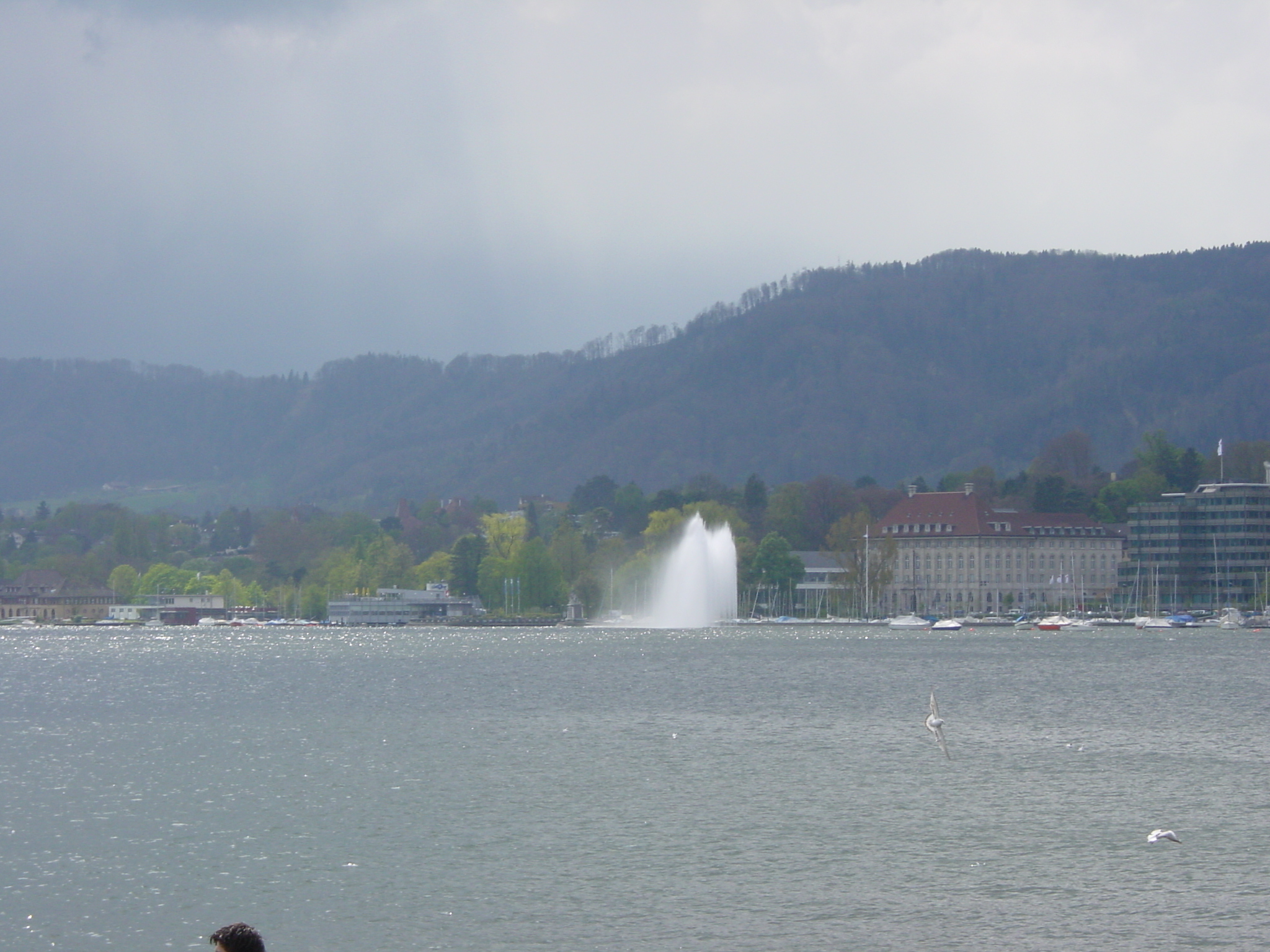 รูปถ่าย สวิสเซอร์แลนด์(Switzerland) ซูริค(Zurich) 2002-04 47