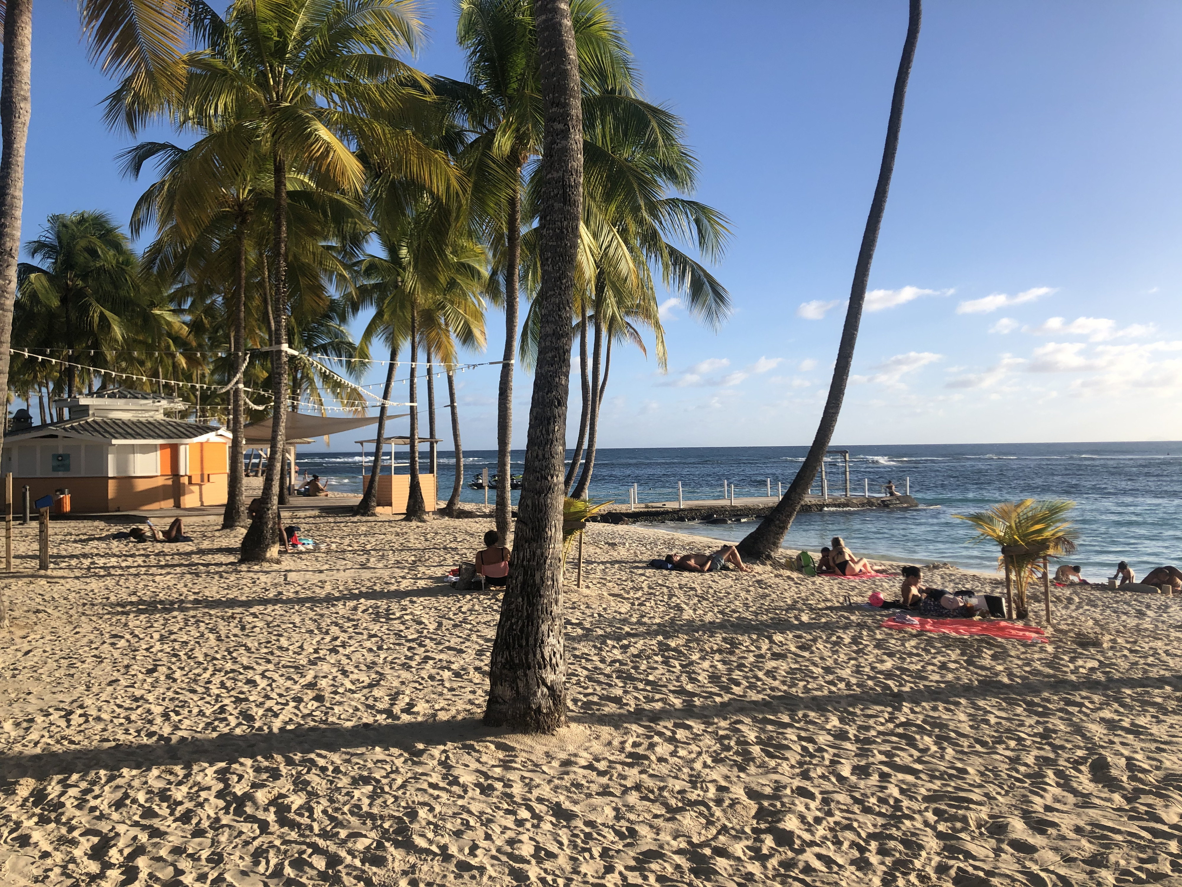 รูปถ่าย กวาเดอลูป(Guadeloupe) หาดลาการาแวล(La Caravelle Beach) 2021-02 76