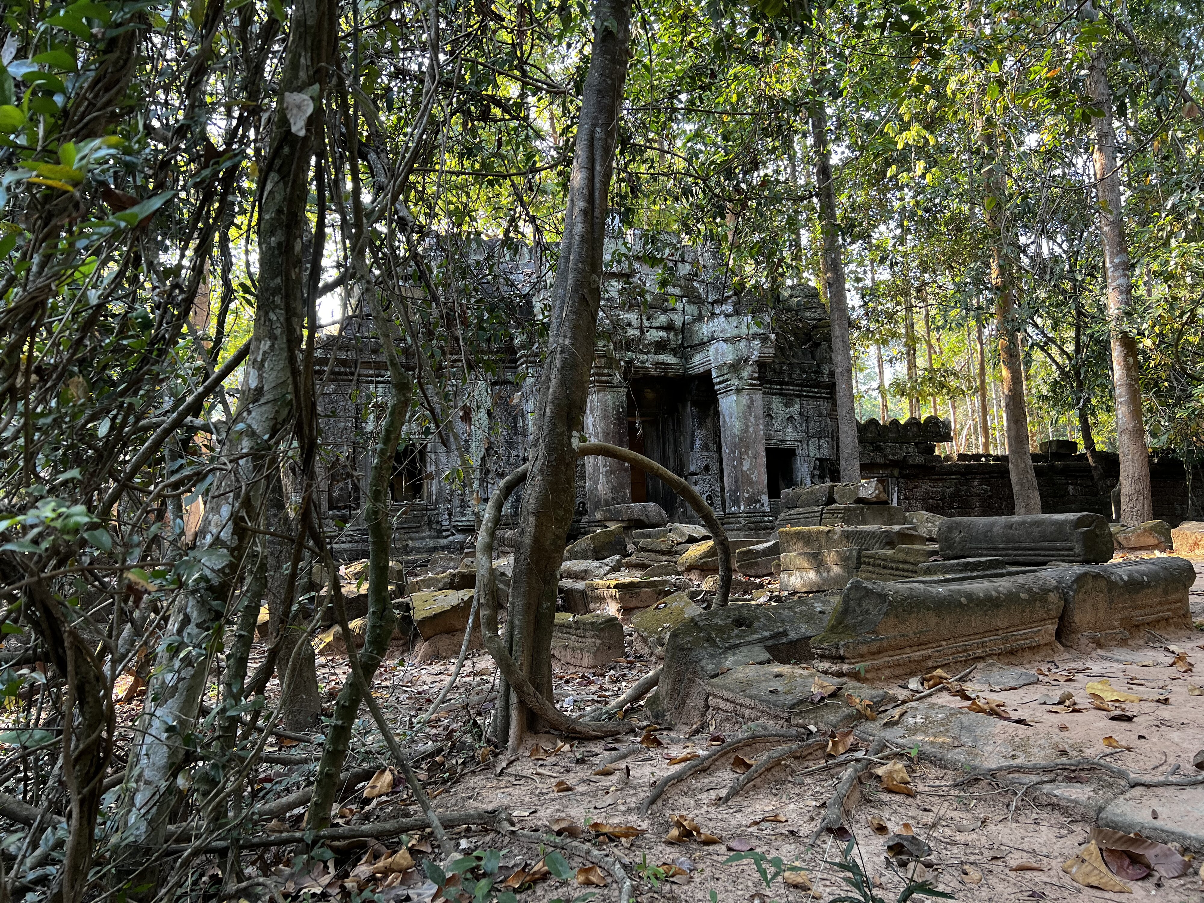 รูปถ่าย กัมพูชา(Cambodia) เสียมราฐ(Siem Reap) ปราสาทตาสม(Ta Som) 2023-01 22