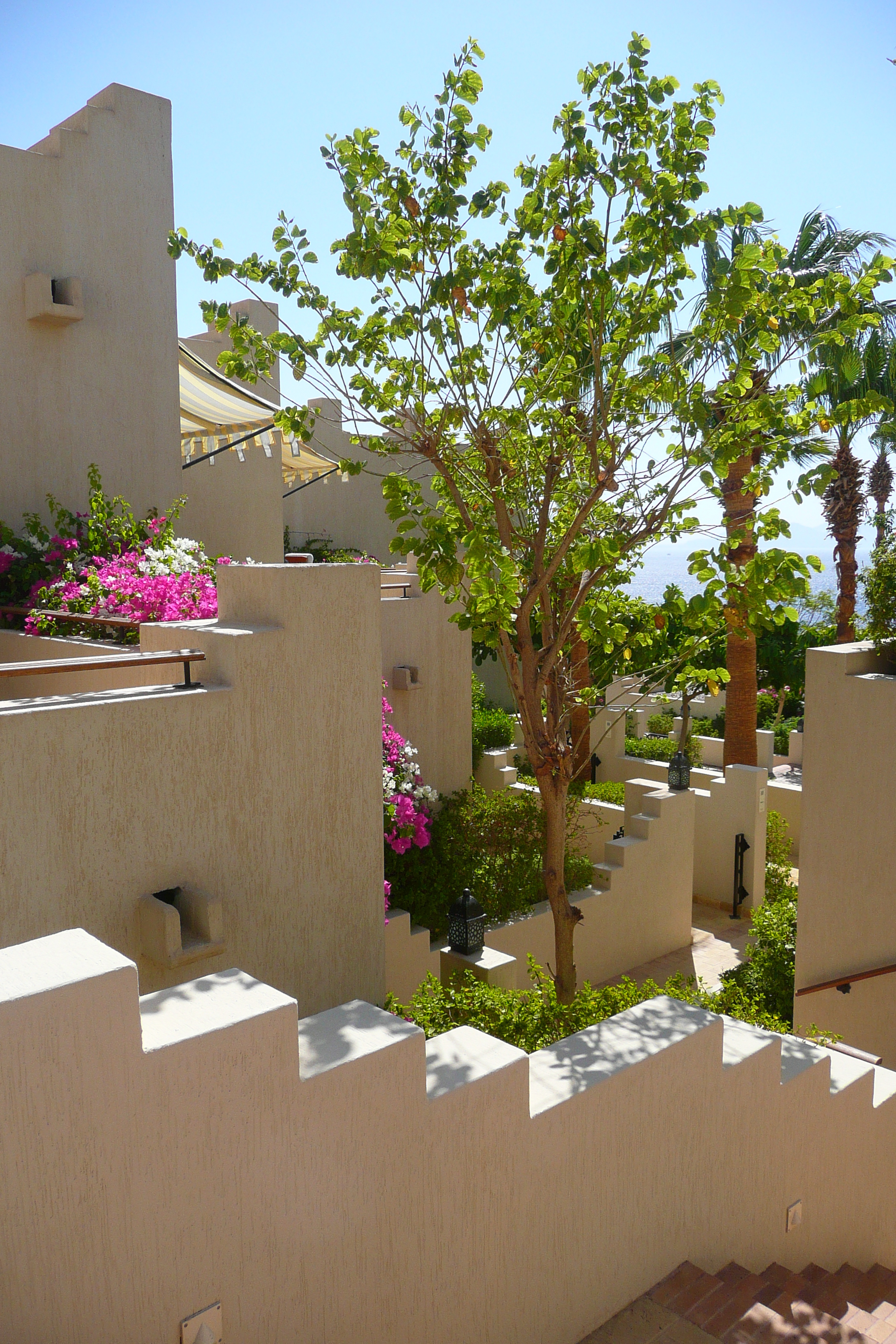 รูปถ่าย อียิปต์(Egypt) ชาร์มเอลชีค(Sharm el Sheikh) โรงแรมโฟร์ซีซันส์(Four Seasons Hotel) 2008-06 45