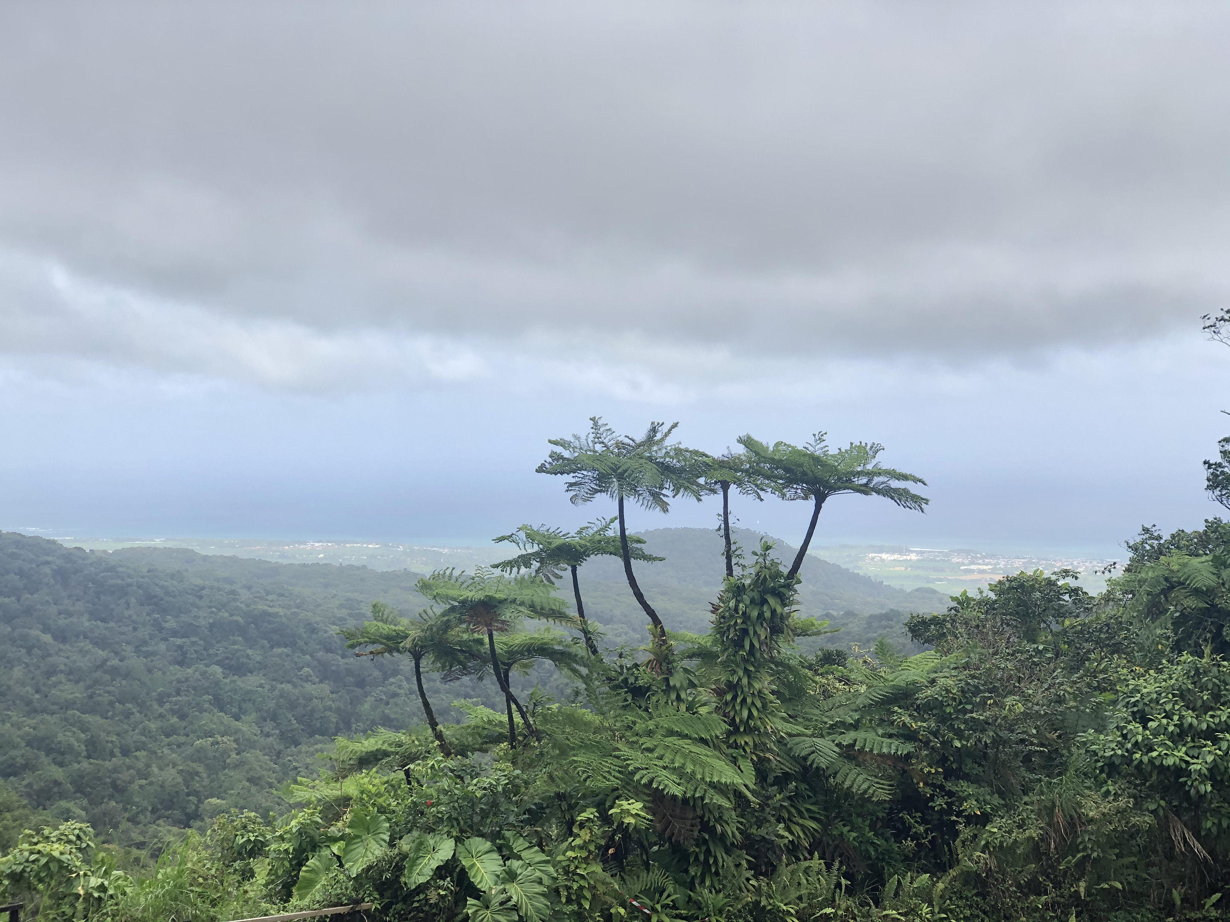 รูปถ่าย กวาเดอลูป(Guadeloupe) น้ำตกการ์เบ(Carbet Falls) 2021-02 12