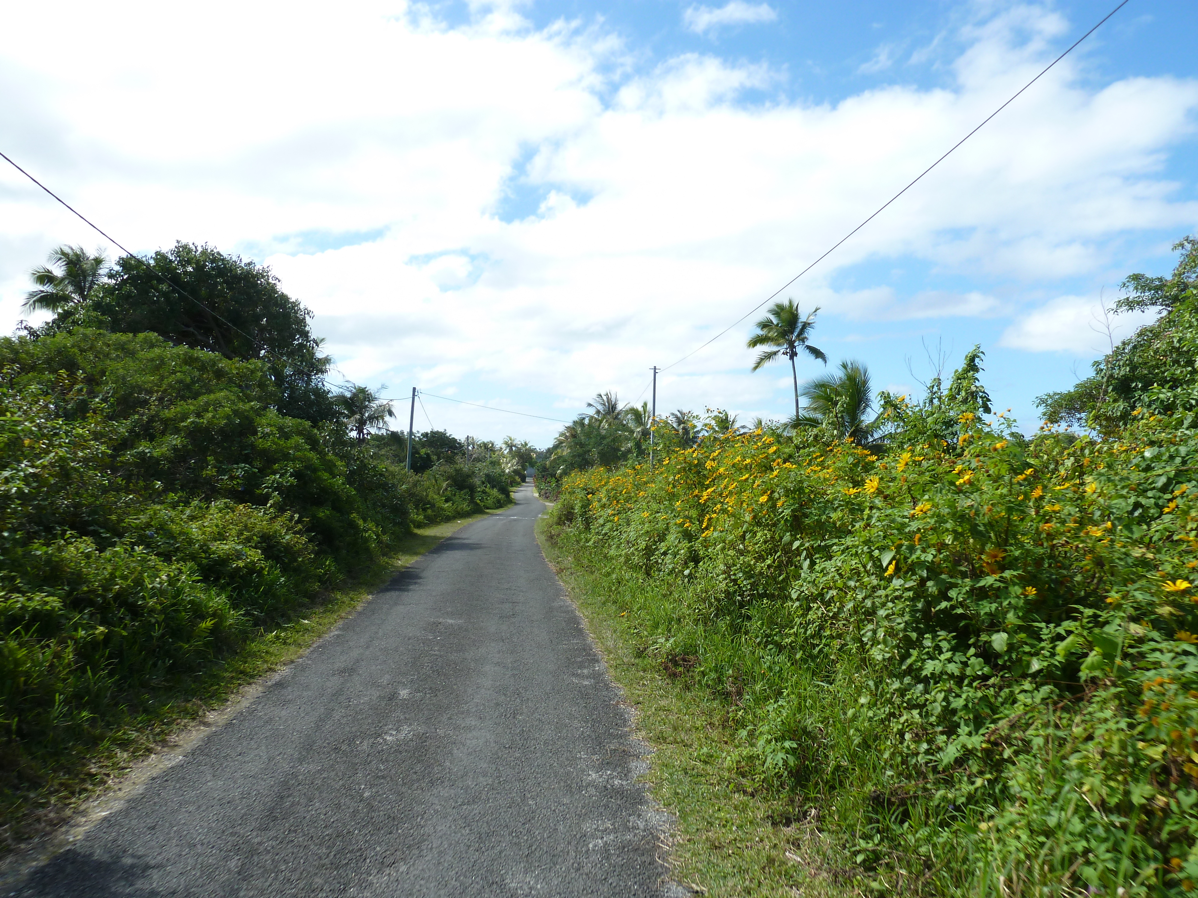 รูปถ่าย นิวแคลิโดเนีย(New Caledonia) เกาะลีฟู(Lifou) 2010-05 5