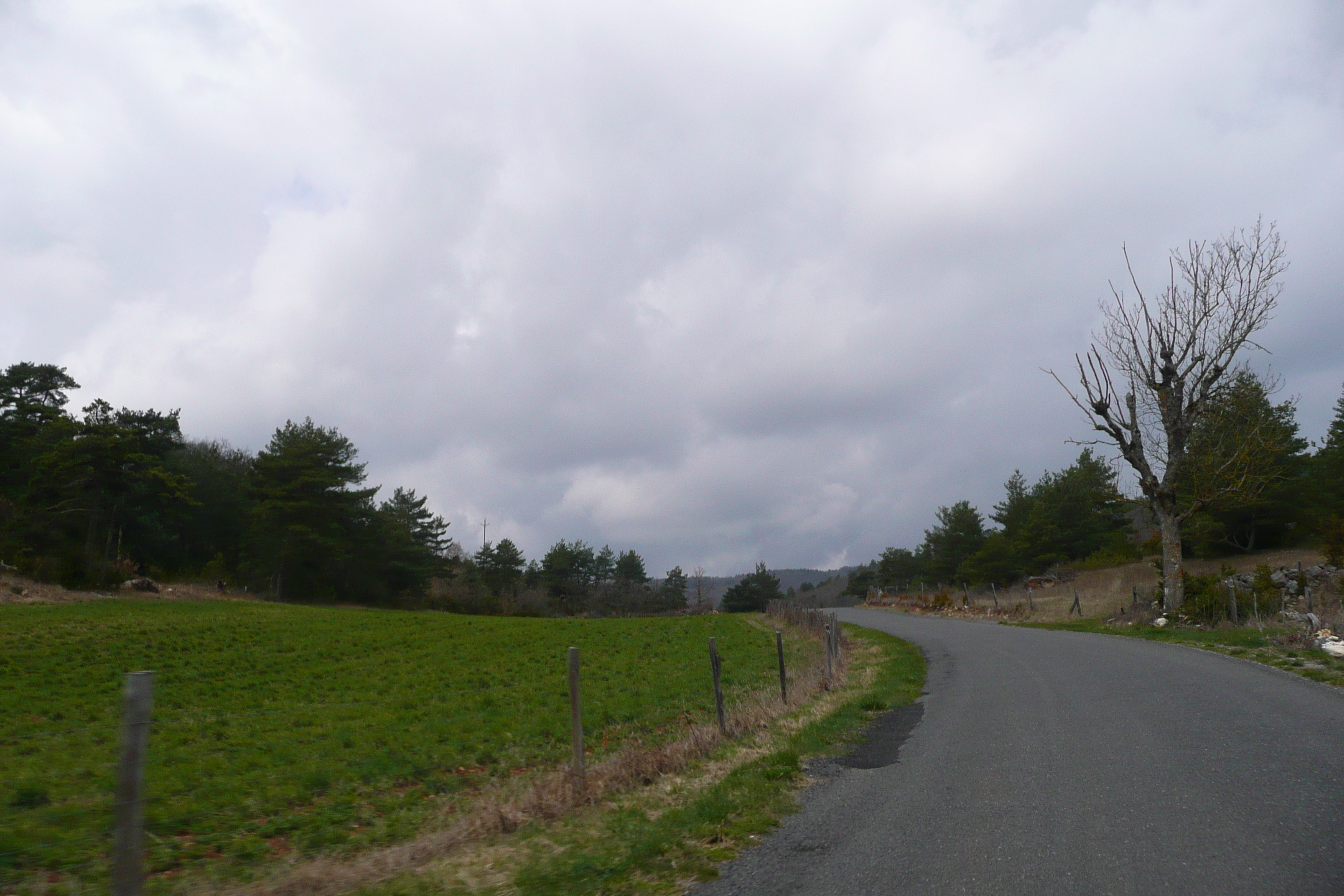รูปถ่าย ฝรั่งเศส(France) โอบรัก(L'Aubrac) 2008-04 58