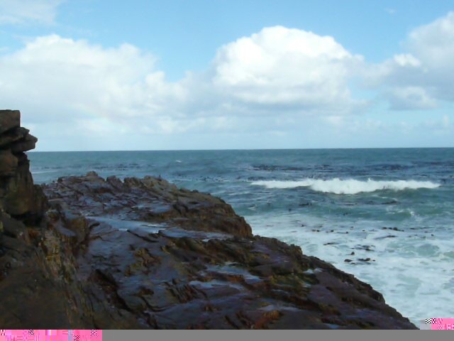 รูปถ่าย แอฟริกาใต้(South Africa) แหลมกู๊ดโฮป(Cape of Good Hope) แหลมเคปพอยต์(Cape Point) 2008-09 47