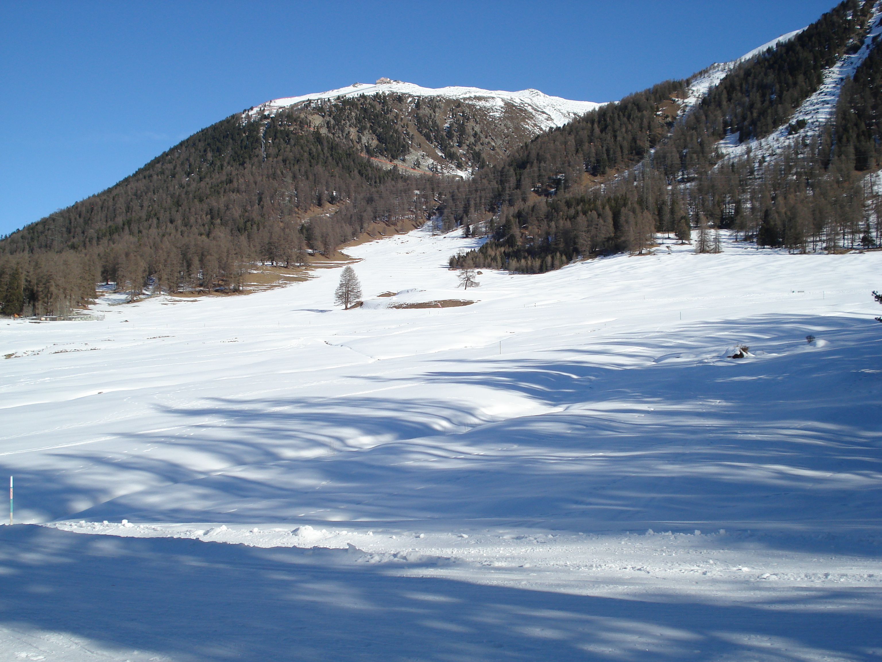 รูปถ่าย สวิสเซอร์แลนด์(Switzerland) ปองเทรซีน่า(Pontresina) 2007-01 46