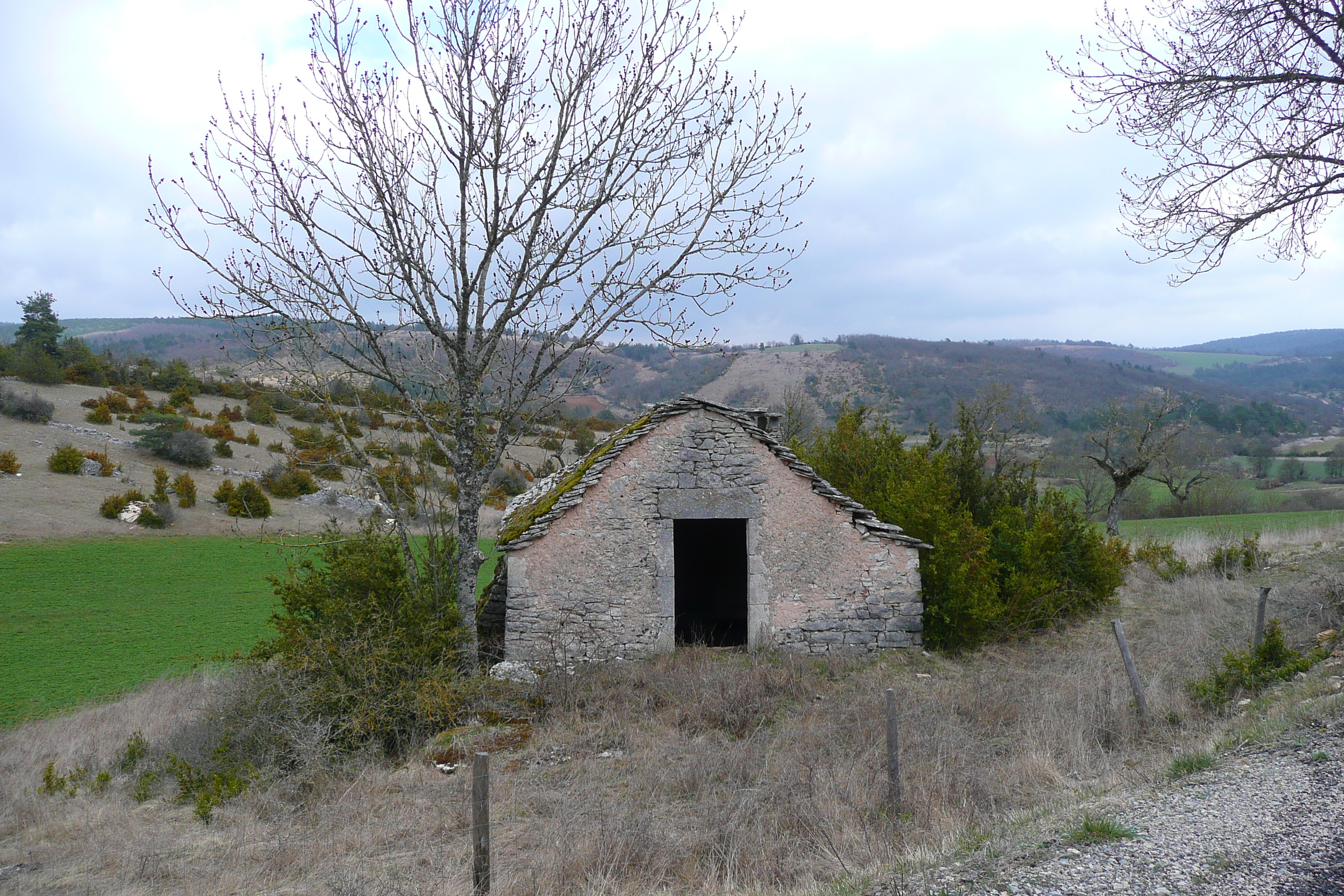 รูปถ่าย ฝรั่งเศส(France) โอบรัก(L'Aubrac) 2008-04 66