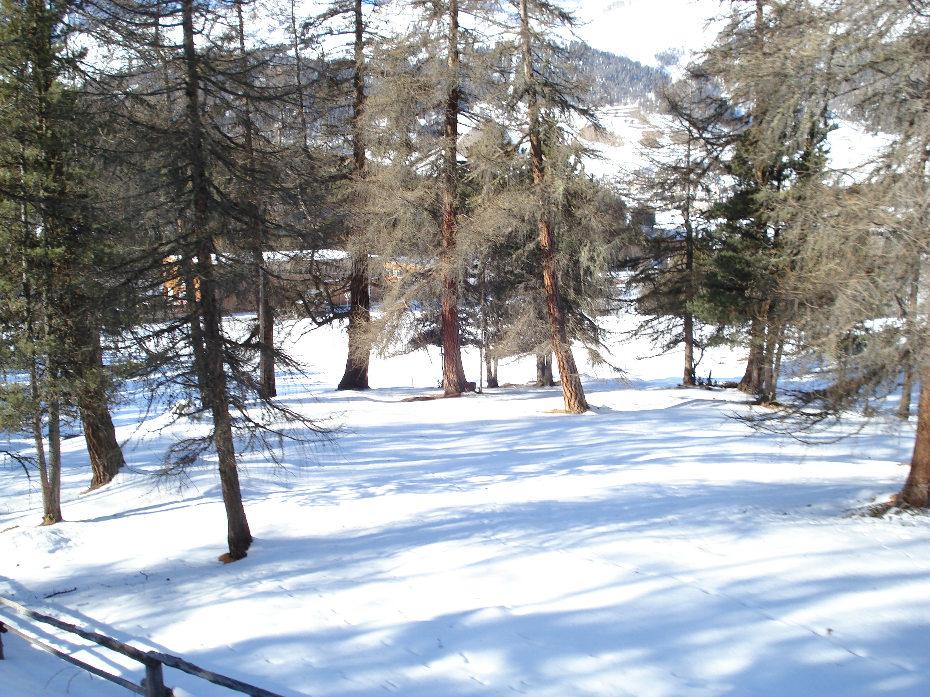รูปถ่าย สวิสเซอร์แลนด์(Switzerland) ปองเทรซีน่า(Pontresina) 2007-01 43
