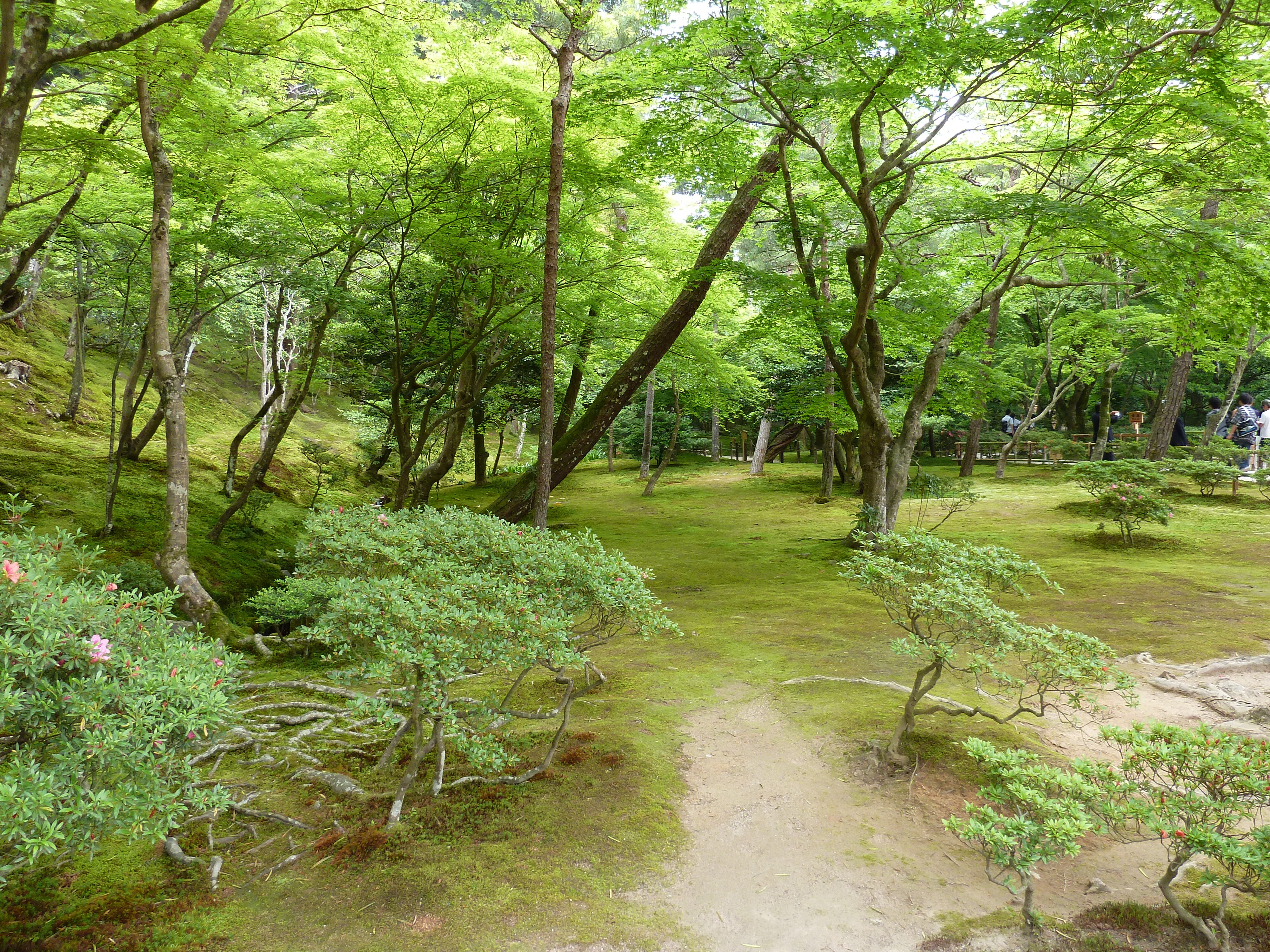 รูปถ่าย ญี่ปุ่น(Japan) เกียวโต(Kyoto) วัดกินกะกุจิ (ศาลาเงิน)(Ginkakuji Temple(Silver Pavilion)) 2010-06 27