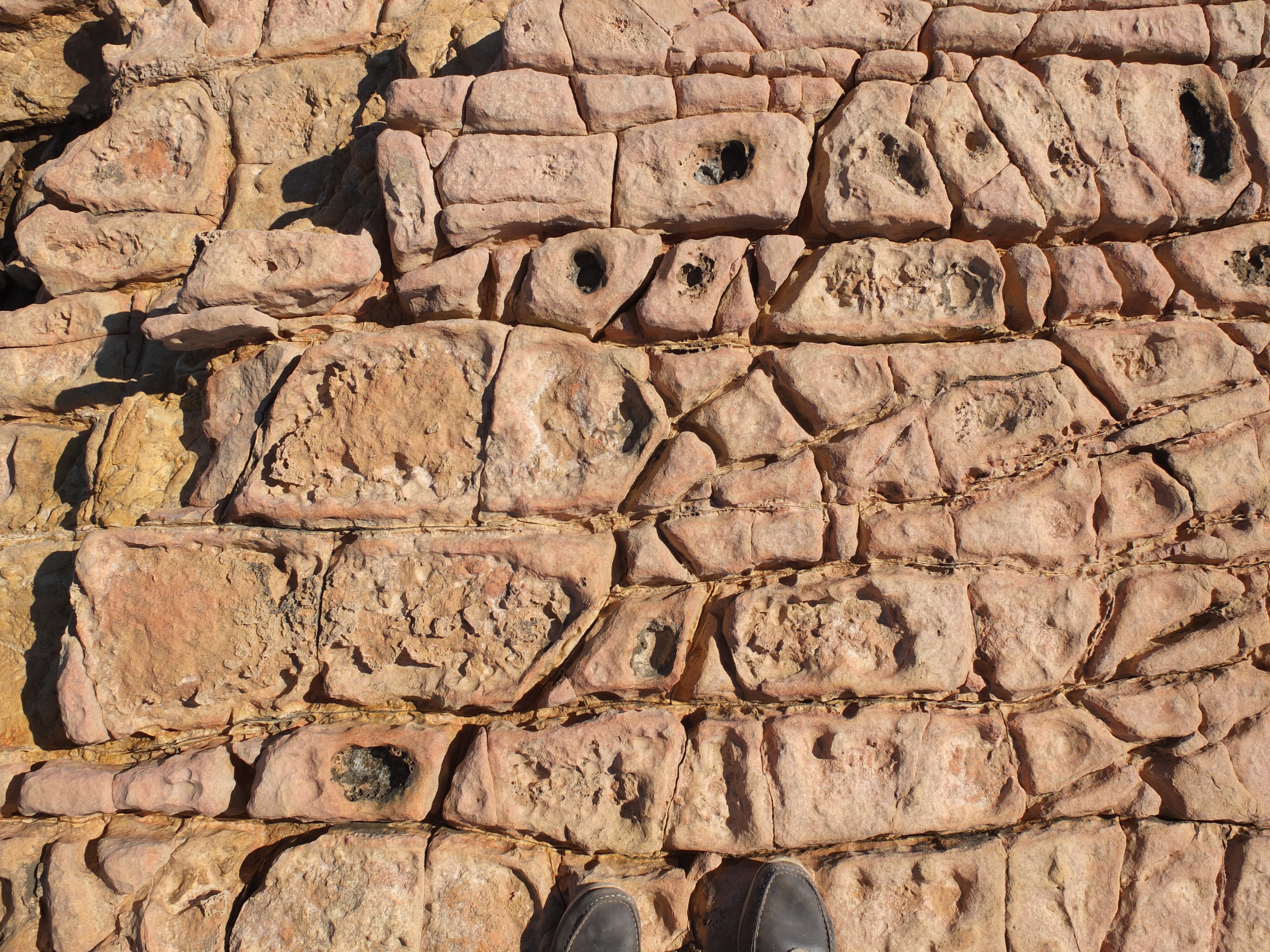 รูปถ่าย กรีก(Greece) เกาะคูโฟนิสเซีย(Koufonissia) 2014-07 355