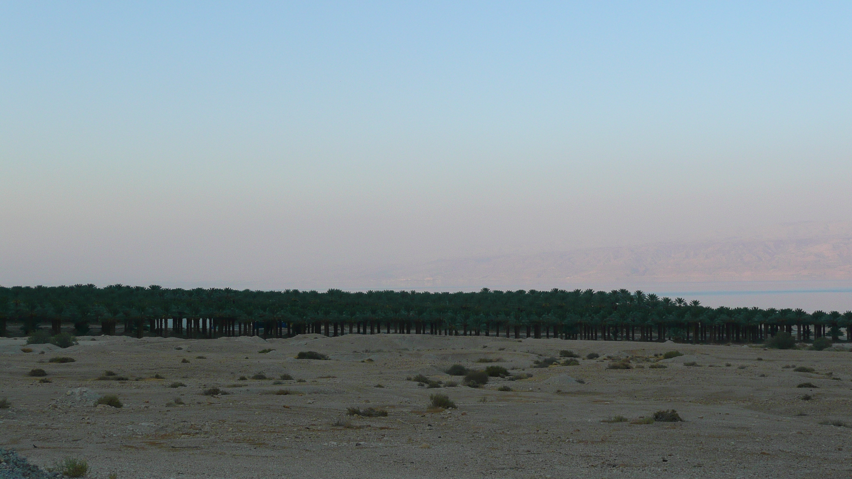 รูปถ่าย อิสราเอล(Israel) ทะเลดำ(Dead Sea) 2007-06 81
