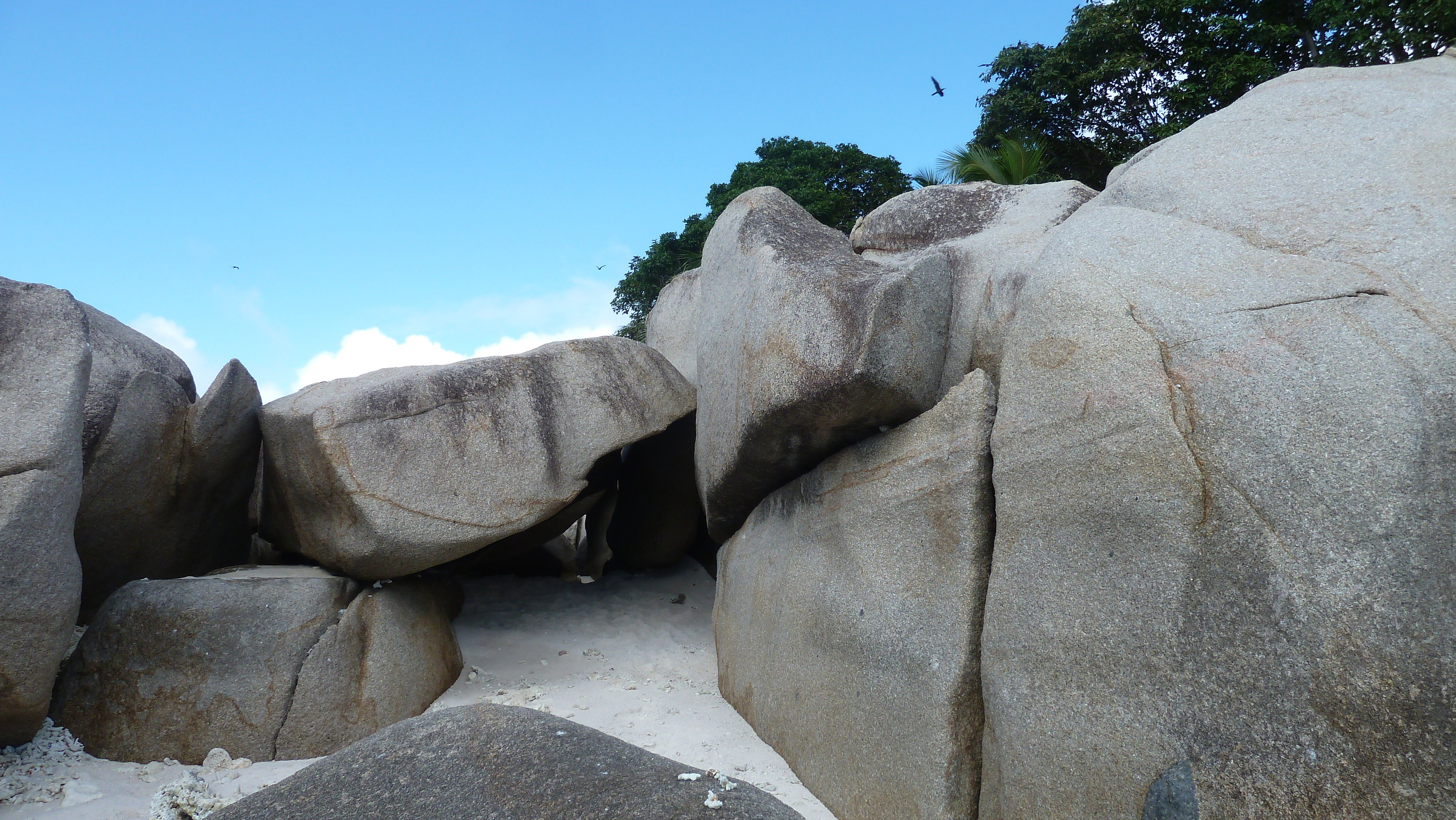 รูปถ่าย เซเชลส์(Seychelles) เกาะโกโก้(Coco Island) 2011-10 37