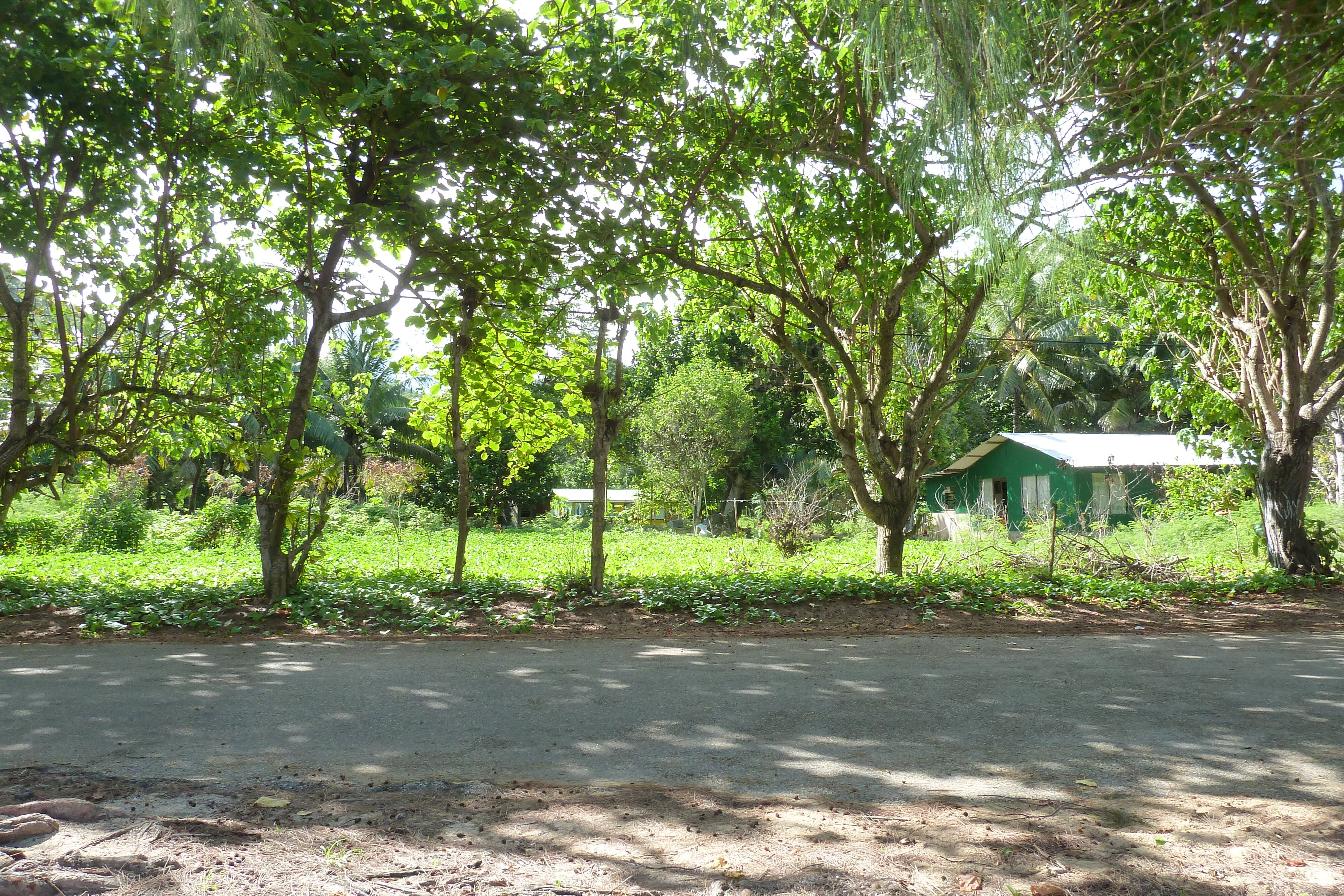 รูปถ่าย เซเชลส์(Seychelles) เกาะปราลิน(Praslin) 2011-10 98