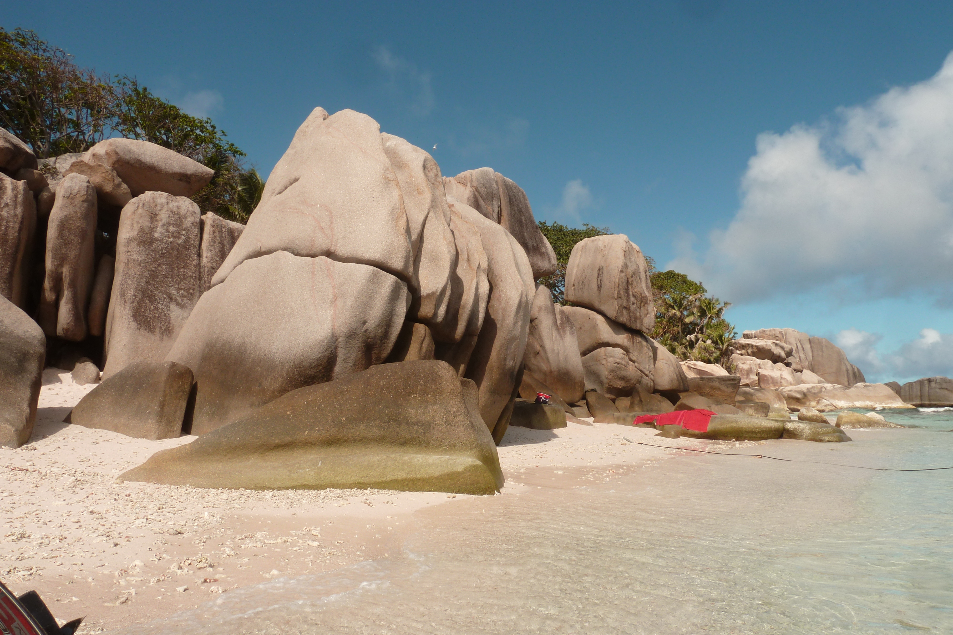 รูปถ่าย เซเชลส์(Seychelles) เกาะโกโก้(Coco Island) 2011-10 49