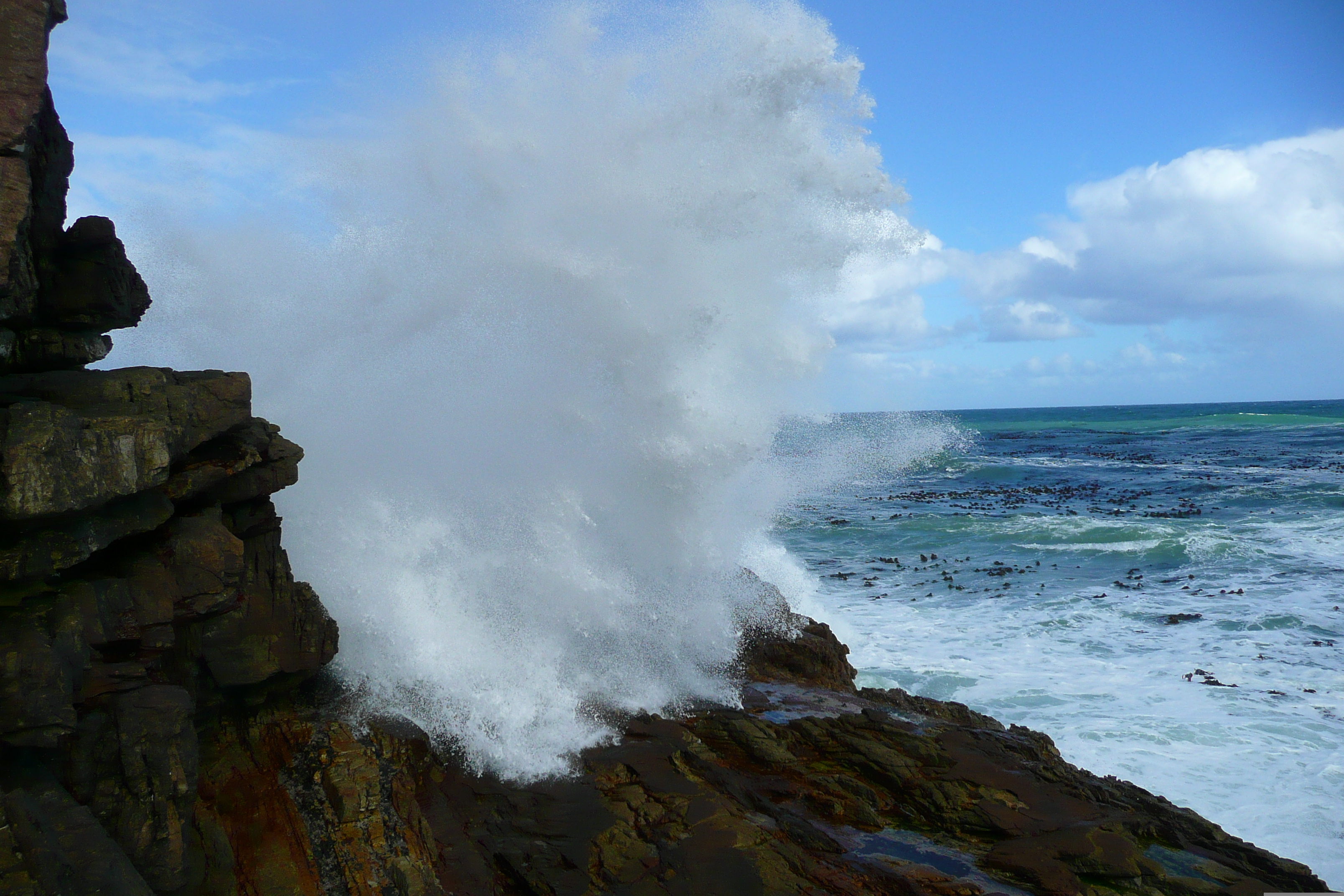 รูปถ่าย แอฟริกาใต้(South Africa) แหลมกู๊ดโฮป(Cape of Good Hope) แหลมเคปพอยต์(Cape Point) 2008-09 37