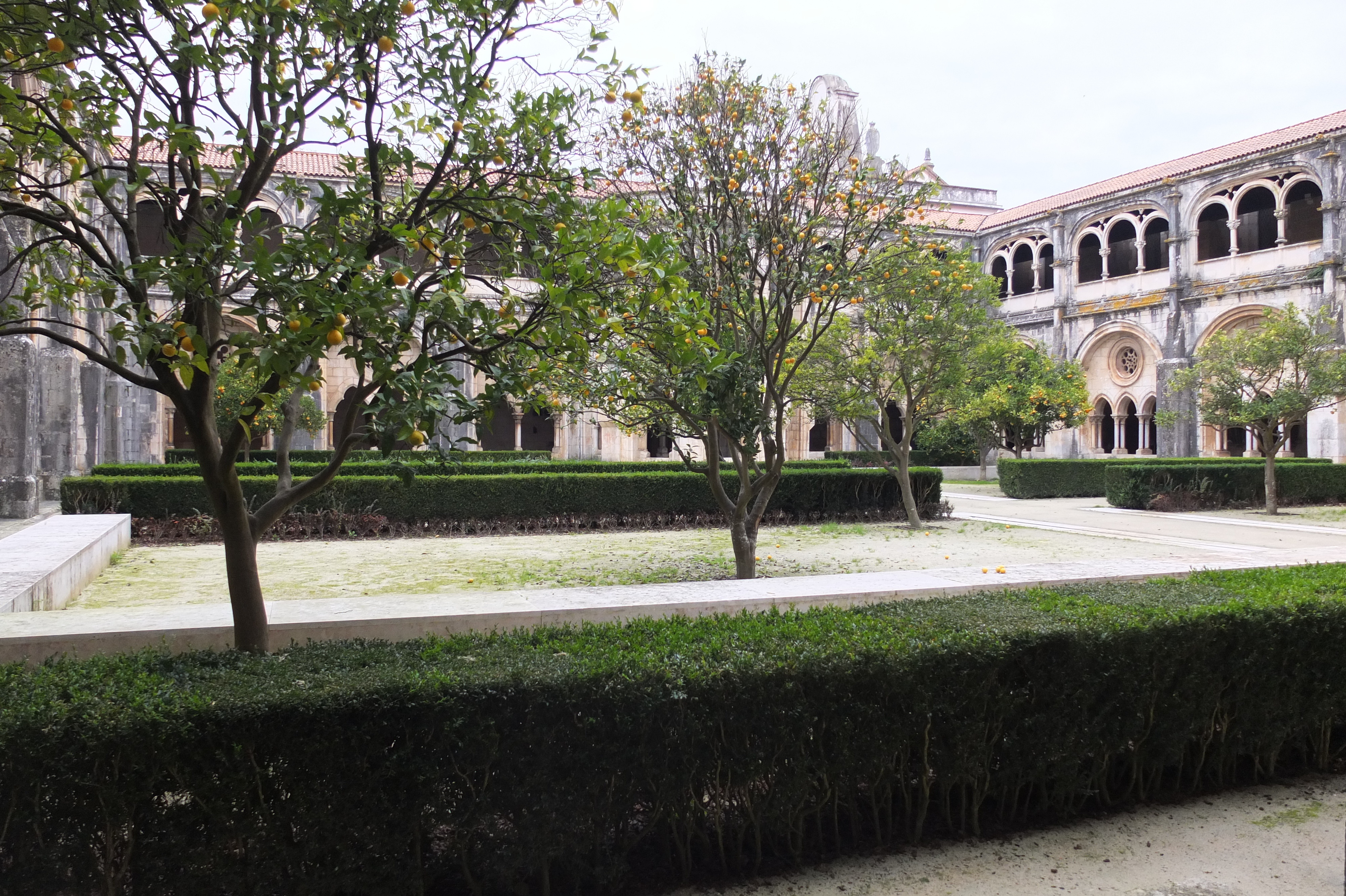 รูปถ่าย โปรตุเกส(Portugal) อัลโกบาซา(Alcobaca) 2013-01 57