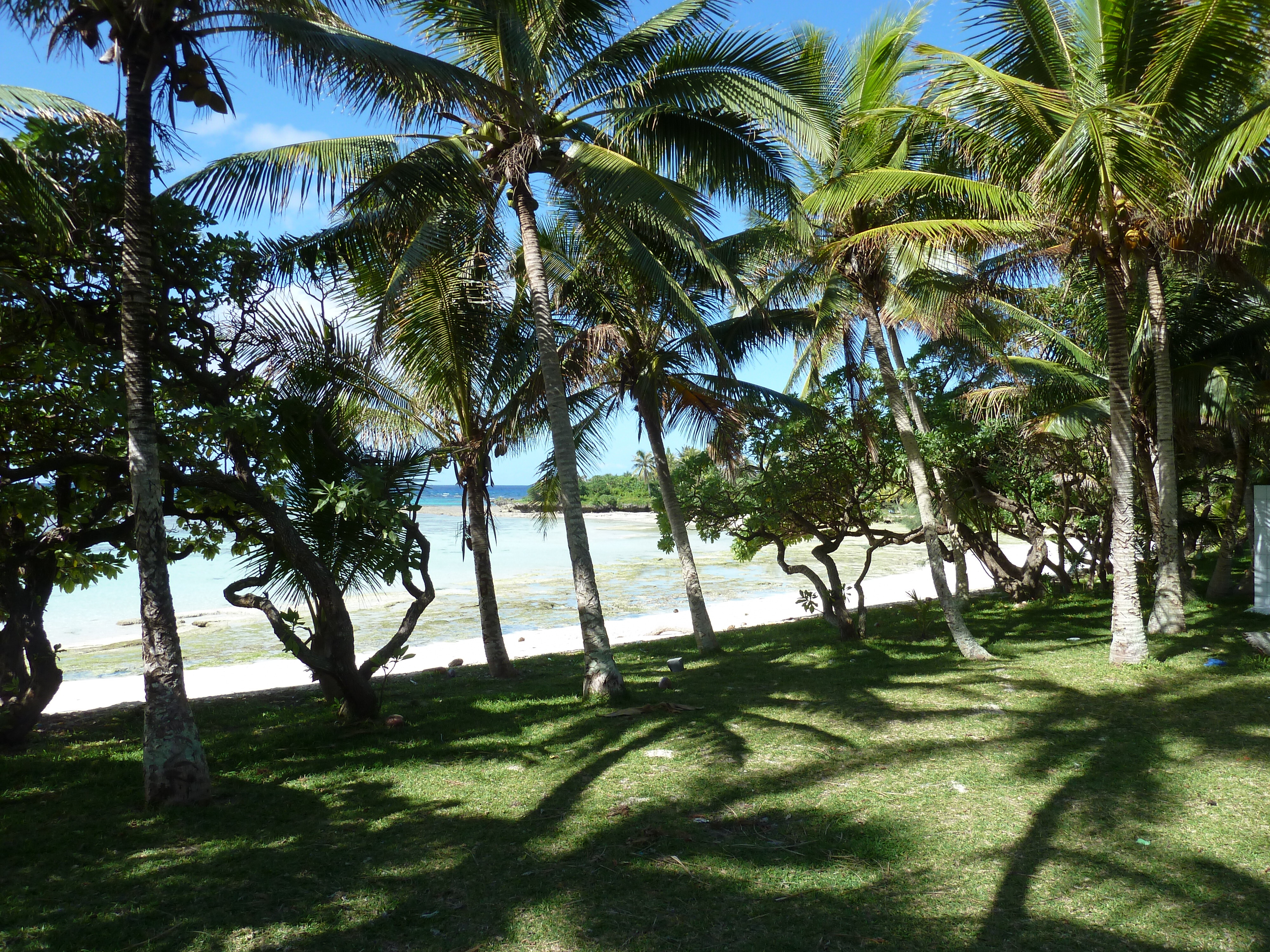 รูปถ่าย นิวแคลิโดเนีย(New Caledonia) เกาะลีฟู(Lifou) หมู่บ้านมู(Mu) 2010-05 39