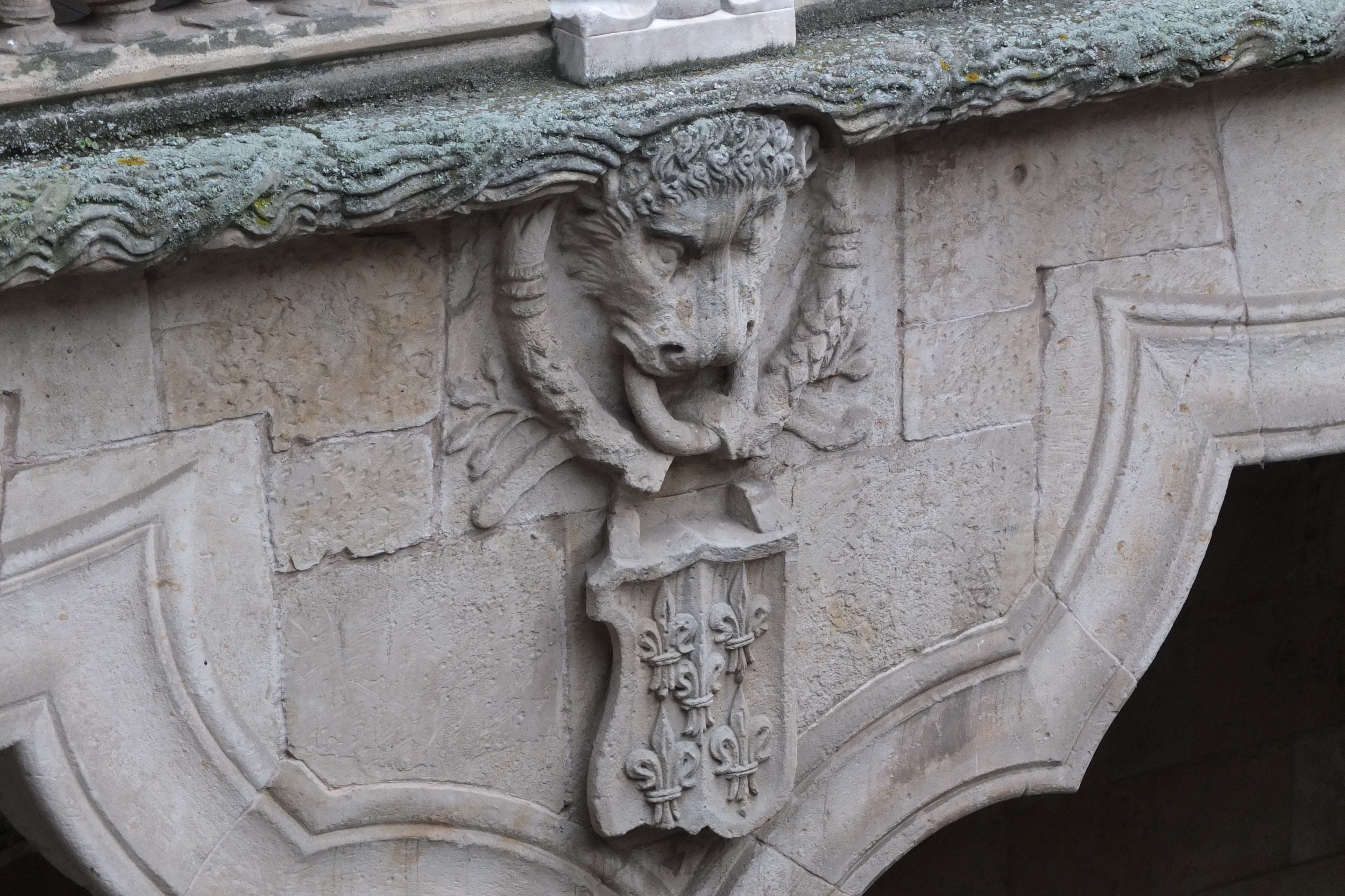 รูปถ่าย สเปน(Spain) ซาลามังกา(Salamanca) 2013-01 171