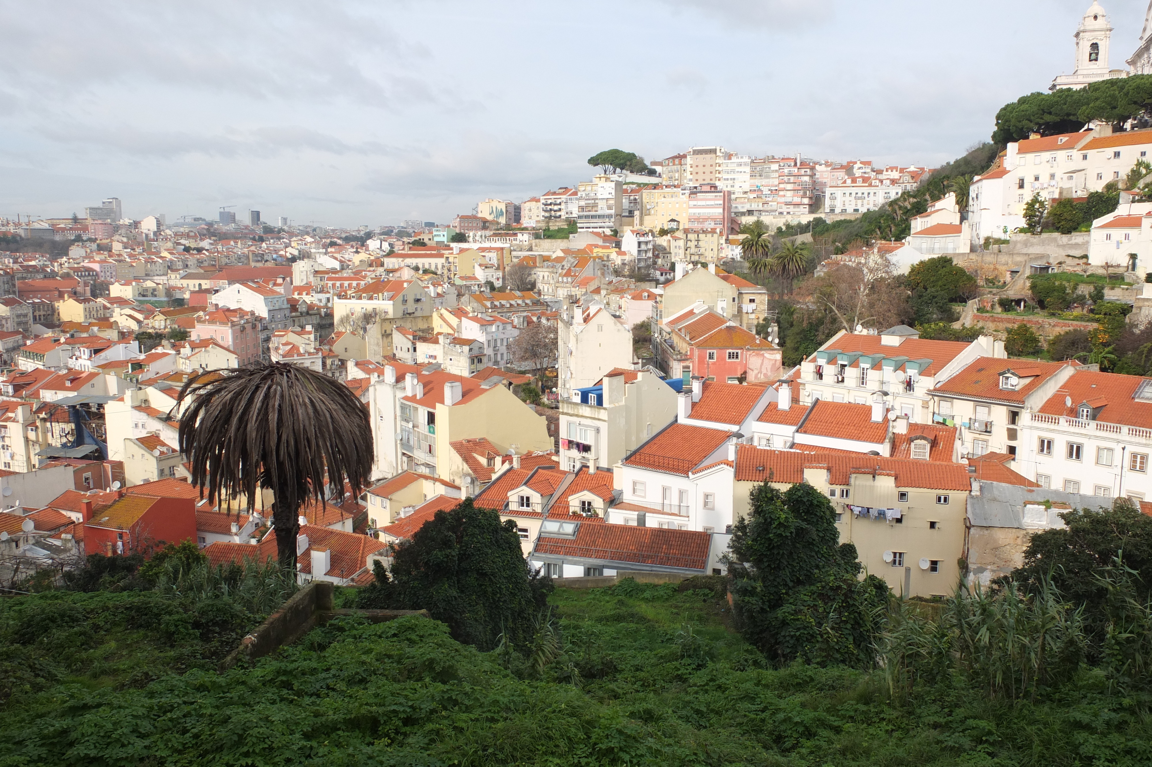 รูปถ่าย โปรตุเกส(Portugal) ลิสบอน(Lisbon) 2013-01 212
