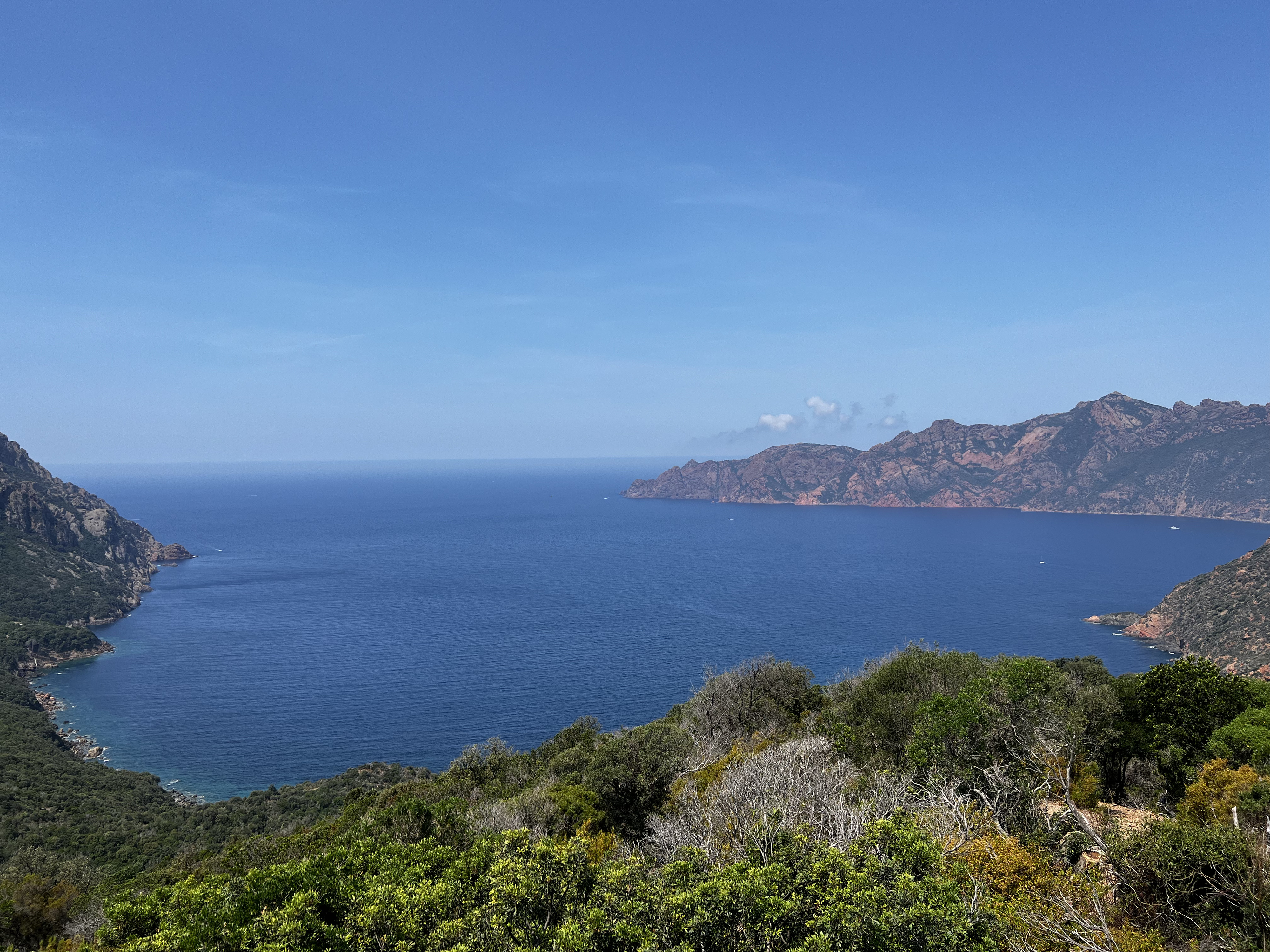 รูปถ่าย ฝรั่งเศส(France) คอร์สิคา(Corsica) โอซานี(Osani) 2023-06 8