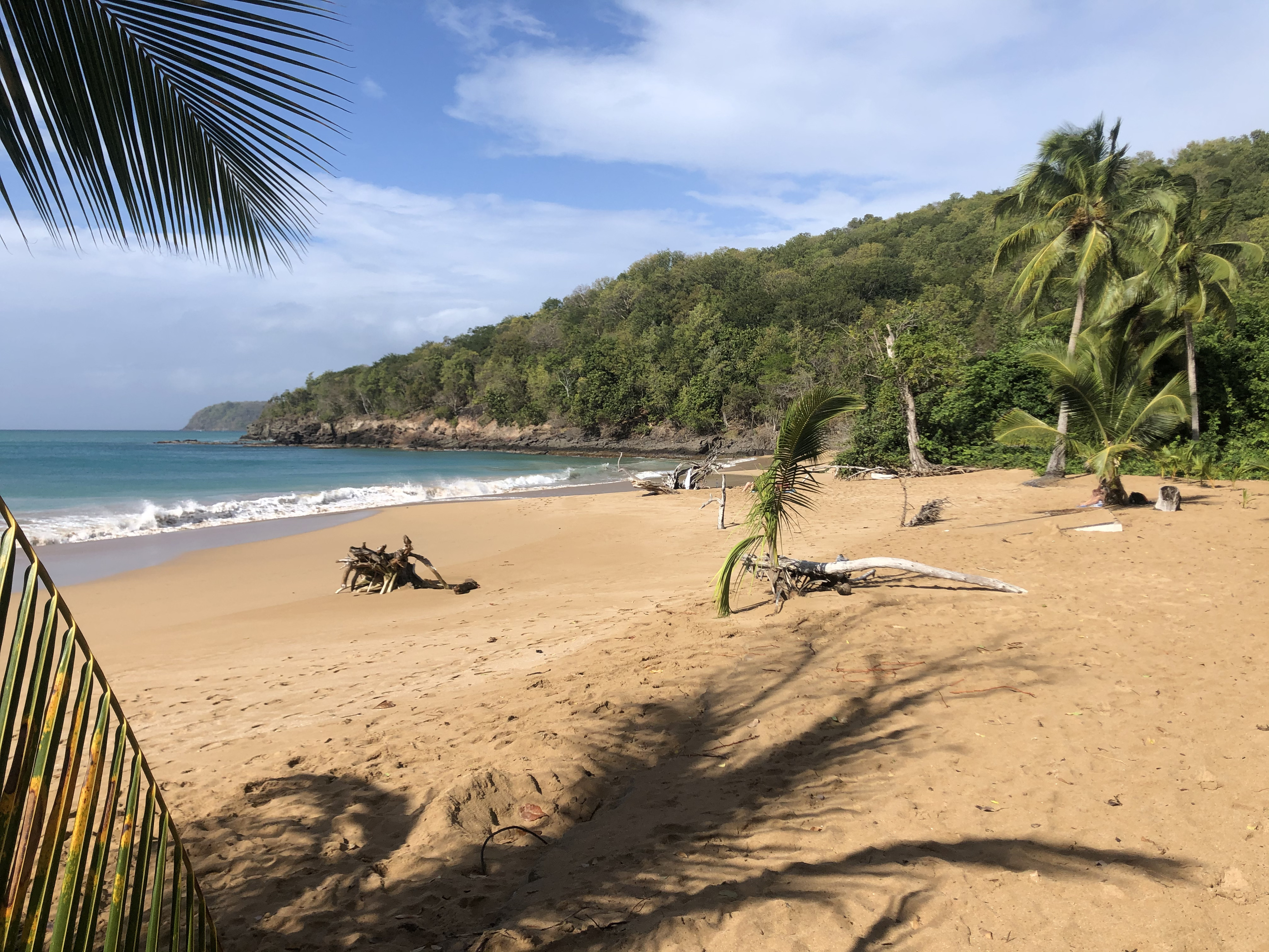 รูปถ่าย กวาเดอลูป(Guadeloupe) หาดลาแปร์ล(La Perle Beach) 2021-02 21