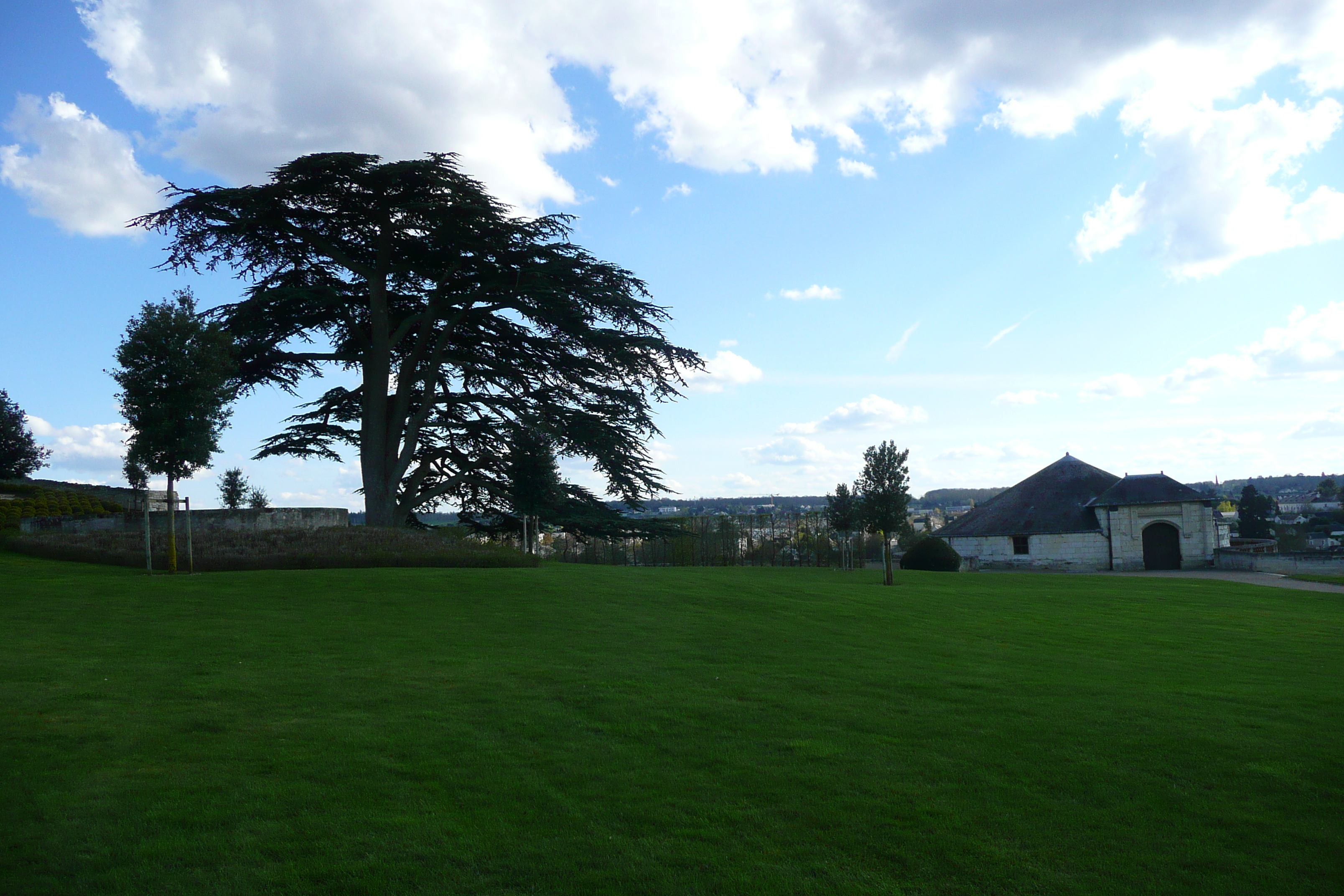 รูปถ่าย ฝรั่งเศส(France) อ็องบวซ(Amboise) 2008-04 42
