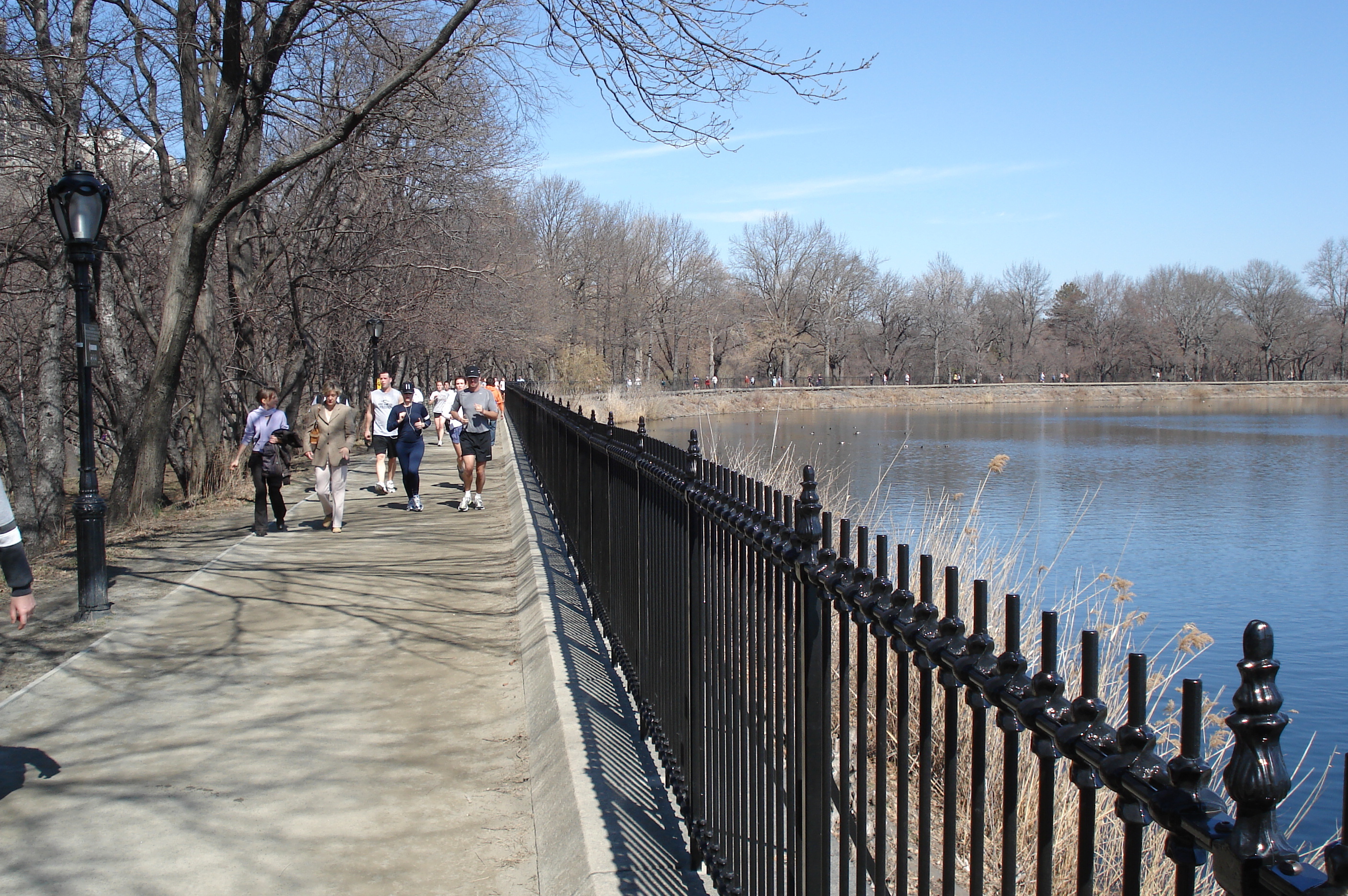 รูปถ่าย สหรัฐอเมริกา(United States) นิวยอร์ก(New York) เซ็นทรัลพาร์ก(Central Park) 2006-03 69