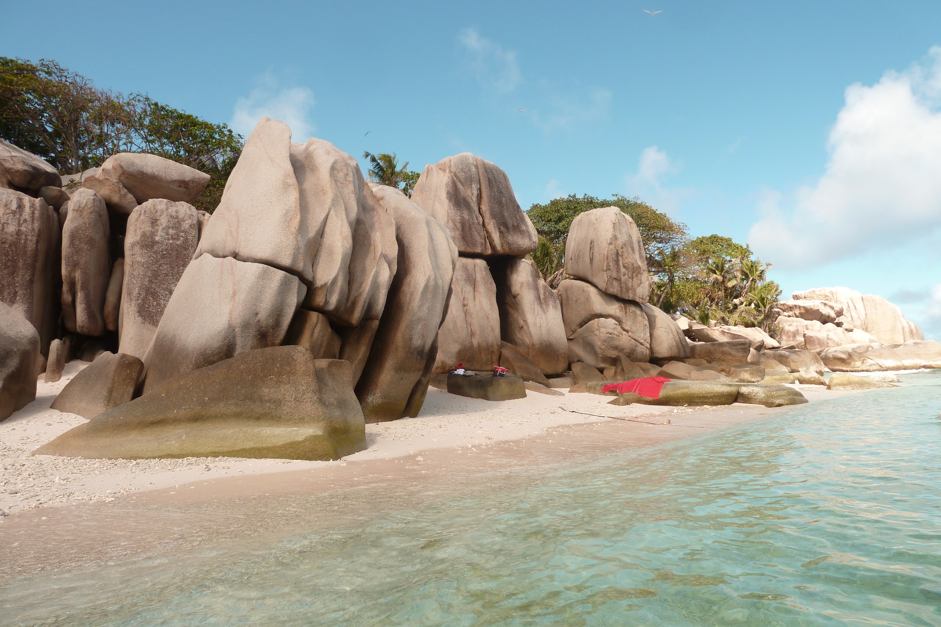 รูปถ่าย เซเชลส์(Seychelles) เกาะโกโก้(Coco Island) 2011-10 29