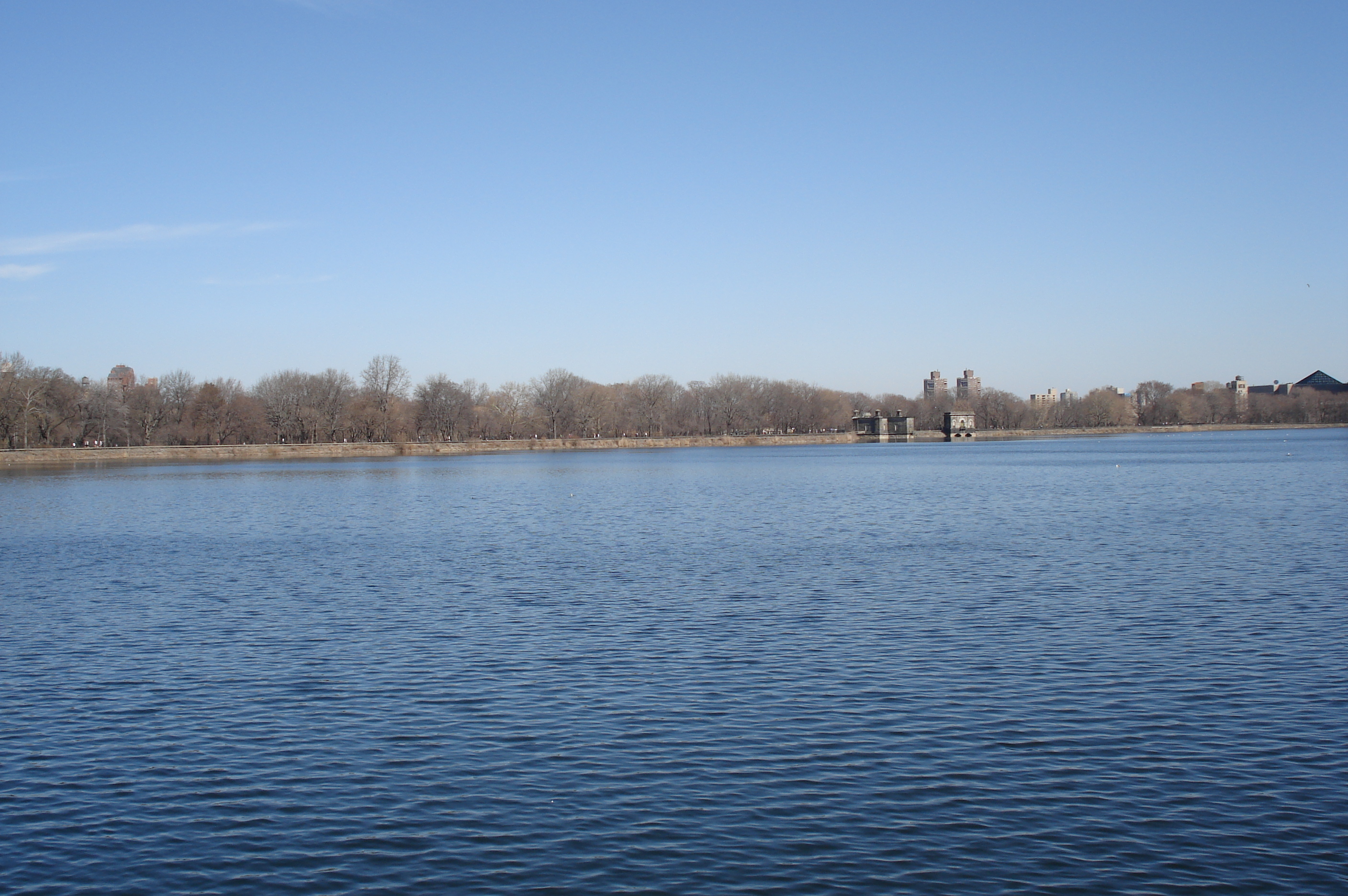 รูปถ่าย สหรัฐอเมริกา(United States) นิวยอร์ก(New York) เซ็นทรัลพาร์ก(Central Park) 2006-03 78