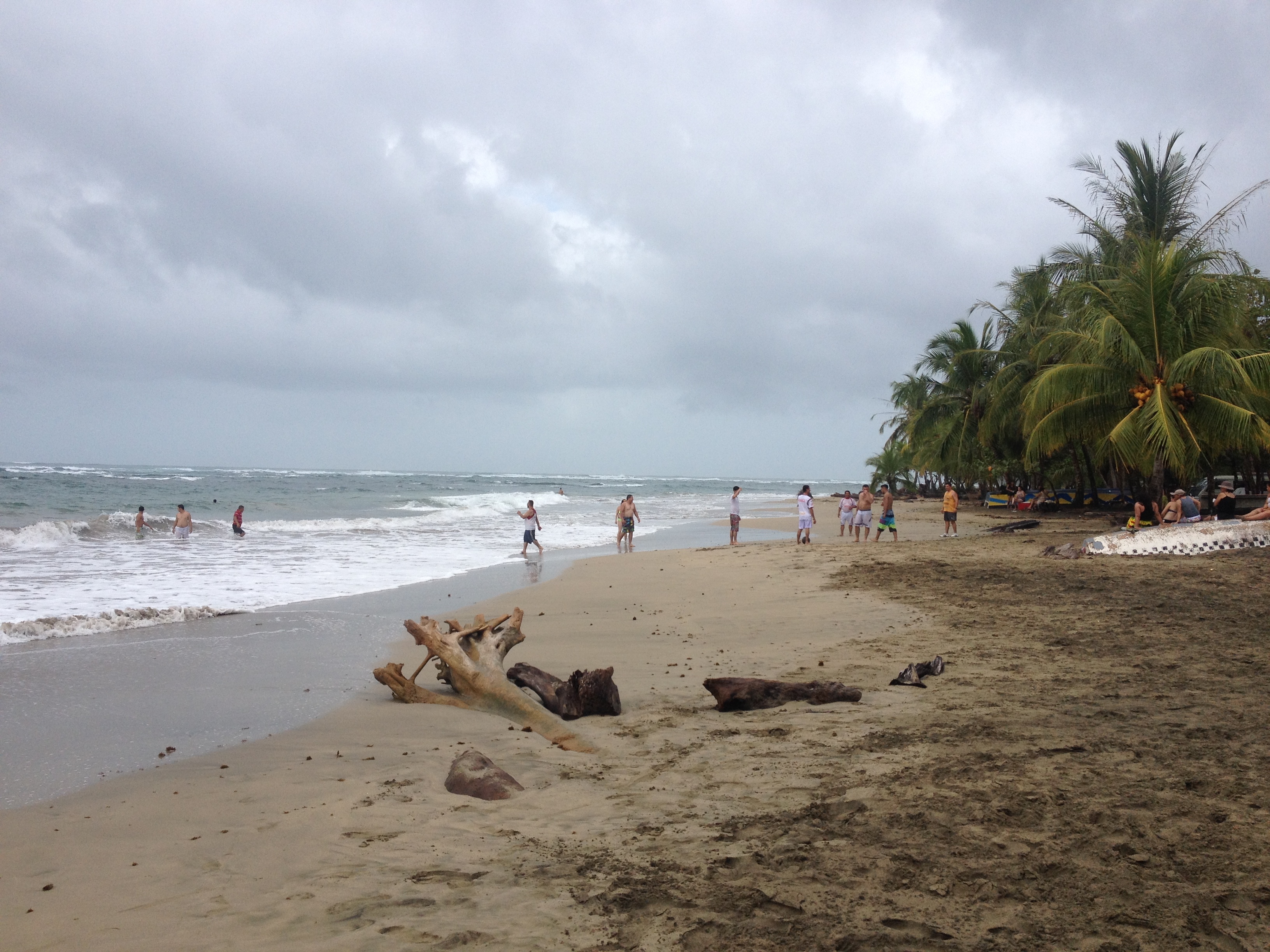 รูปถ่าย คอสตาริกา(Costa Rica) ปวยร์โตเบียโฆเดตาลามังกา(Puerto Viejo de Talamanca) 2015-03 97