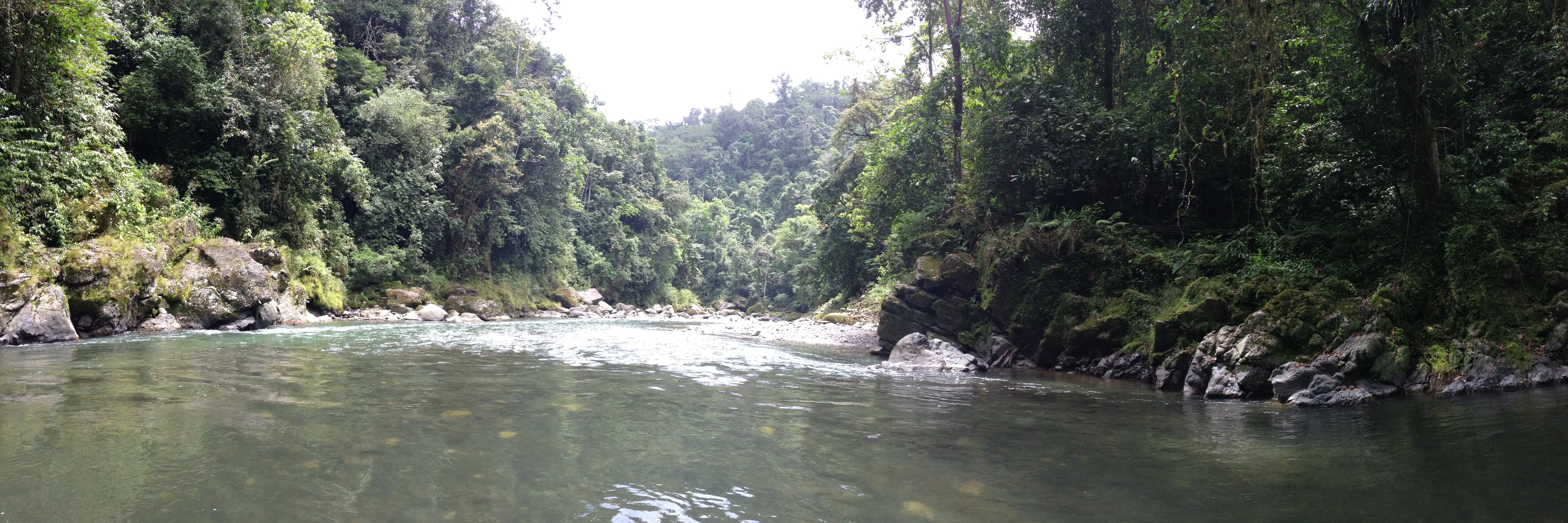 รูปถ่าย คอสตาริกา(Costa Rica) แม่น้ำปากัวเร(Pacuare River) 2015-03 121