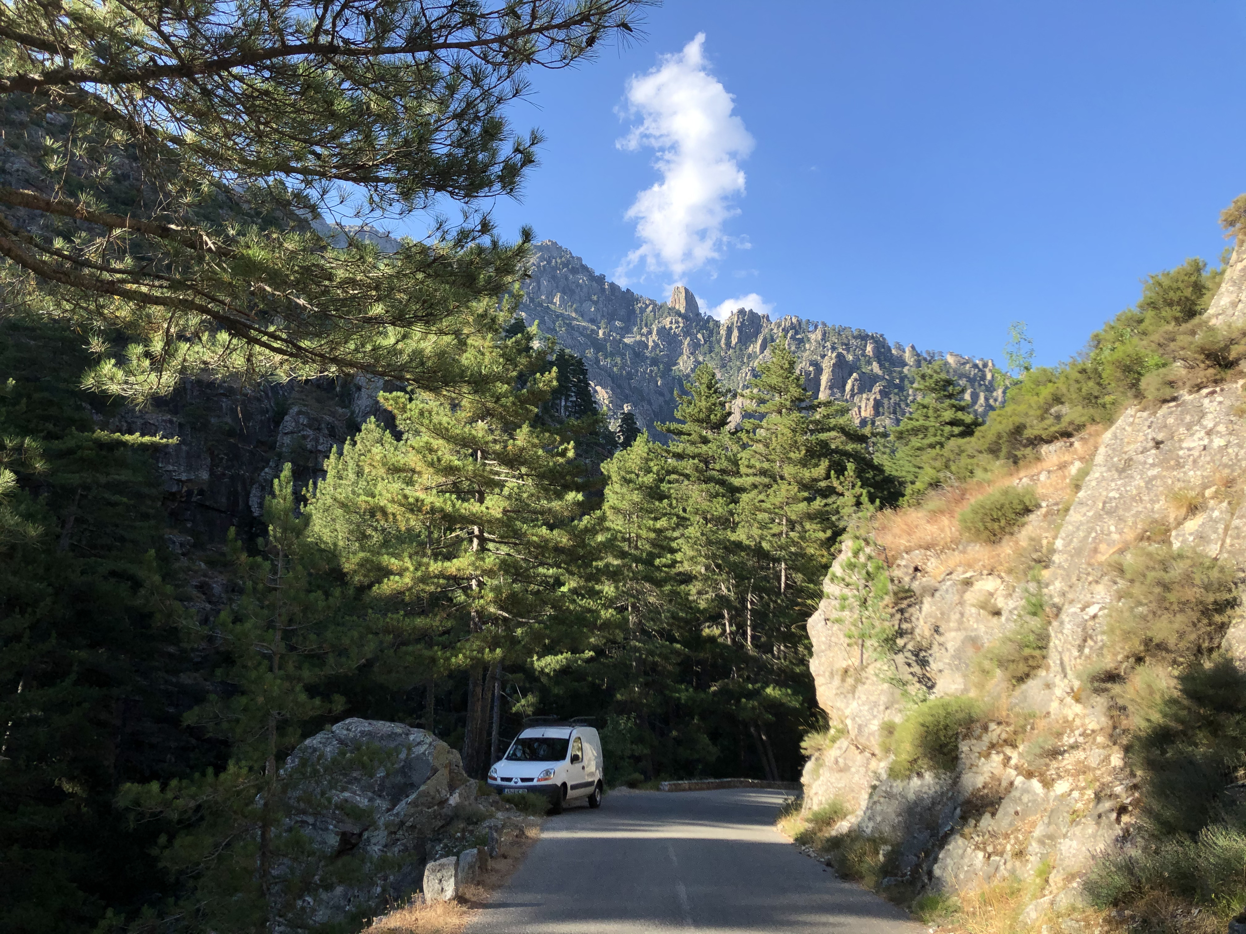 รูปถ่าย ฝรั่งเศส(France) คอร์สิคา(Corsica) หุบเขาลาเรสโตนีกา(La Restonica) 2020-07 89