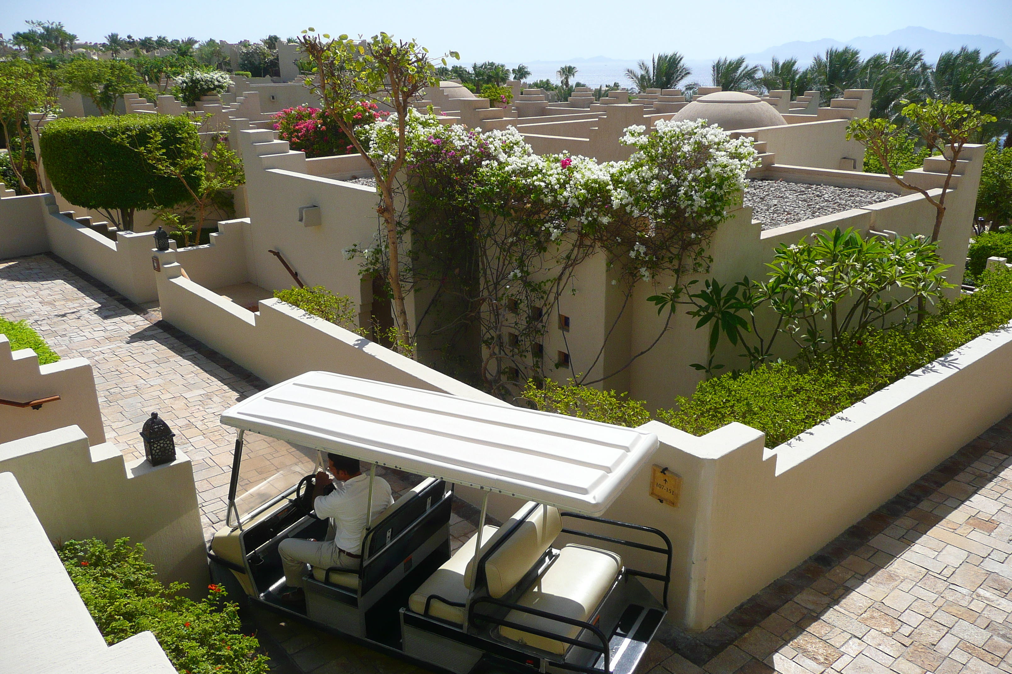 รูปถ่าย อียิปต์(Egypt) ชาร์มเอลชีค(Sharm el Sheikh) โรงแรมโฟร์ซีซันส์(Four Seasons Hotel) 2008-06 71