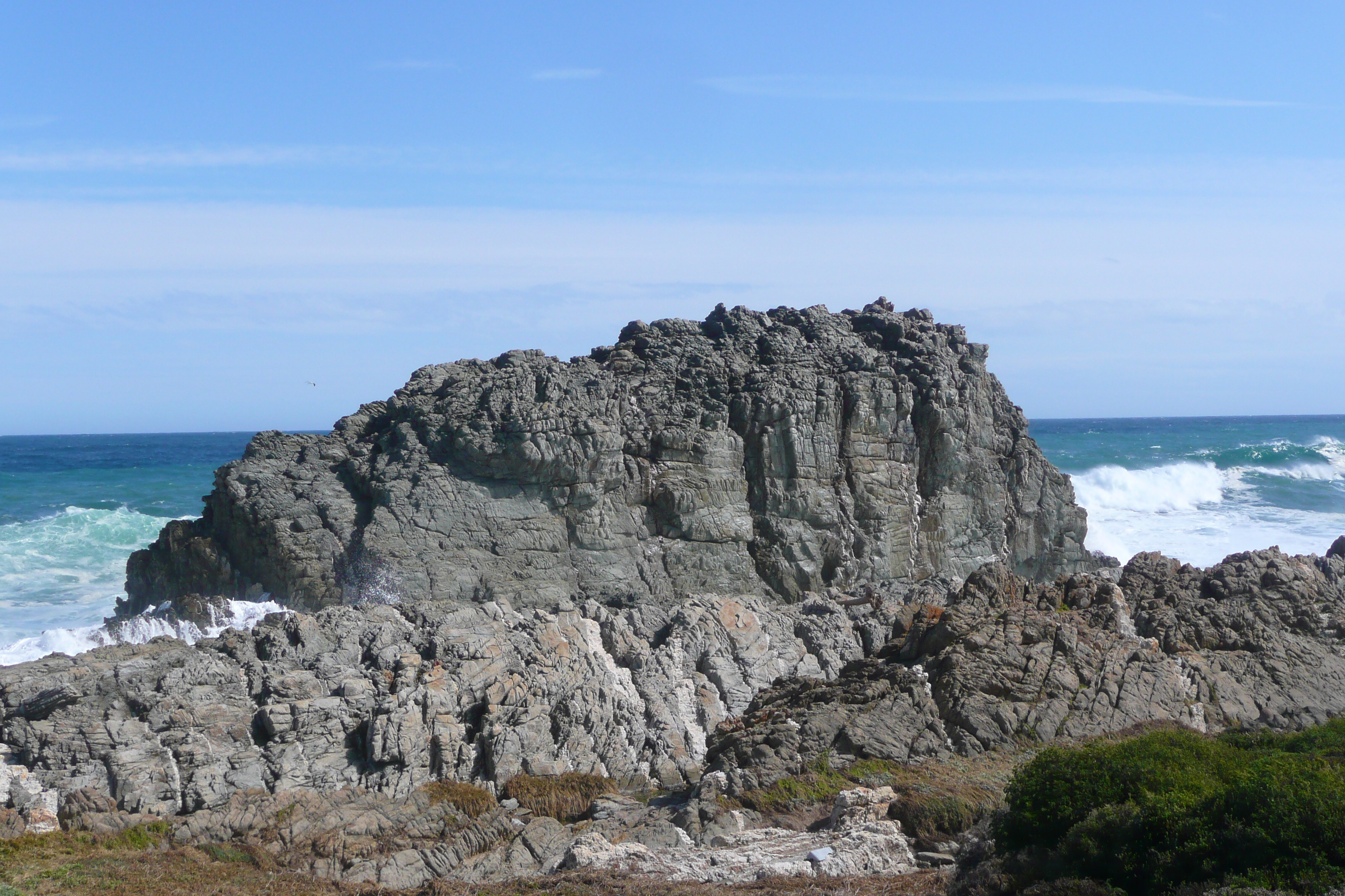 รูปถ่าย แอฟริกาใต้(South Africa) อุทยานแห่งชาติซิตซิคัมมา(Tsitsikamma National Park) 2008-09 109