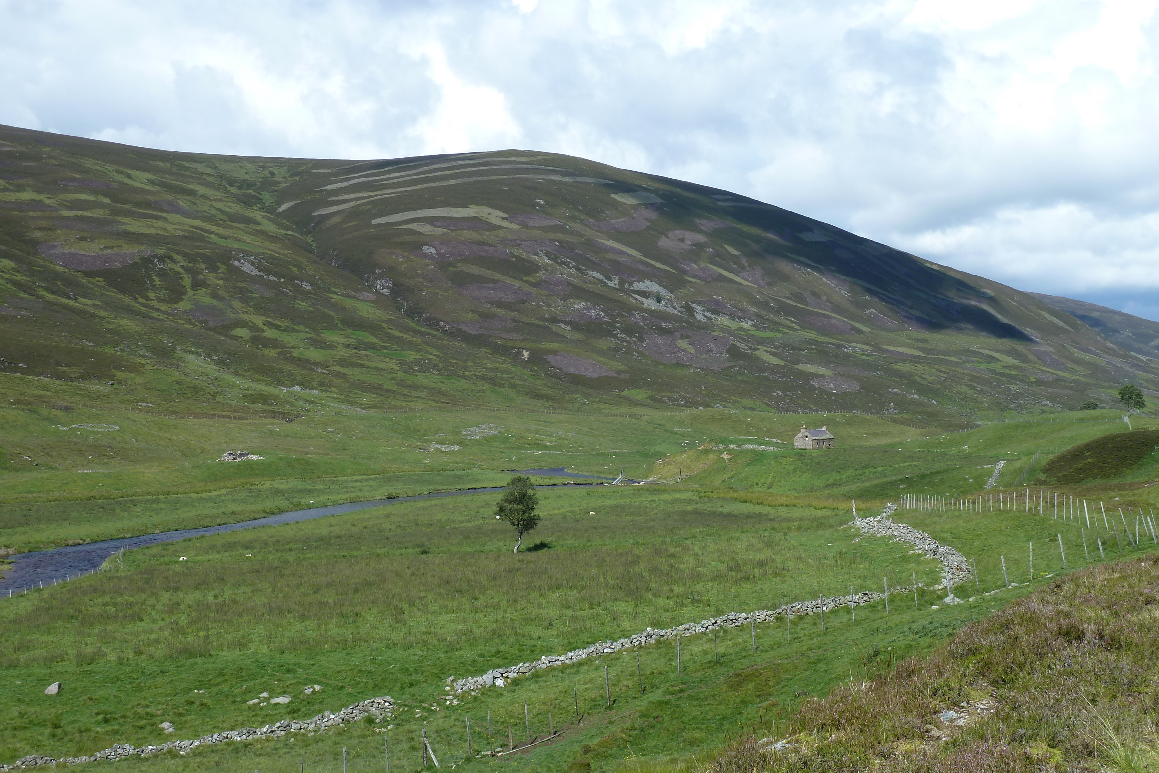 รูปถ่าย อังกฤษ(United Kingdom) อุทยานแห่งชาติแคร์นกอร์มส์(Cairngorms National Park) 2011-07 71