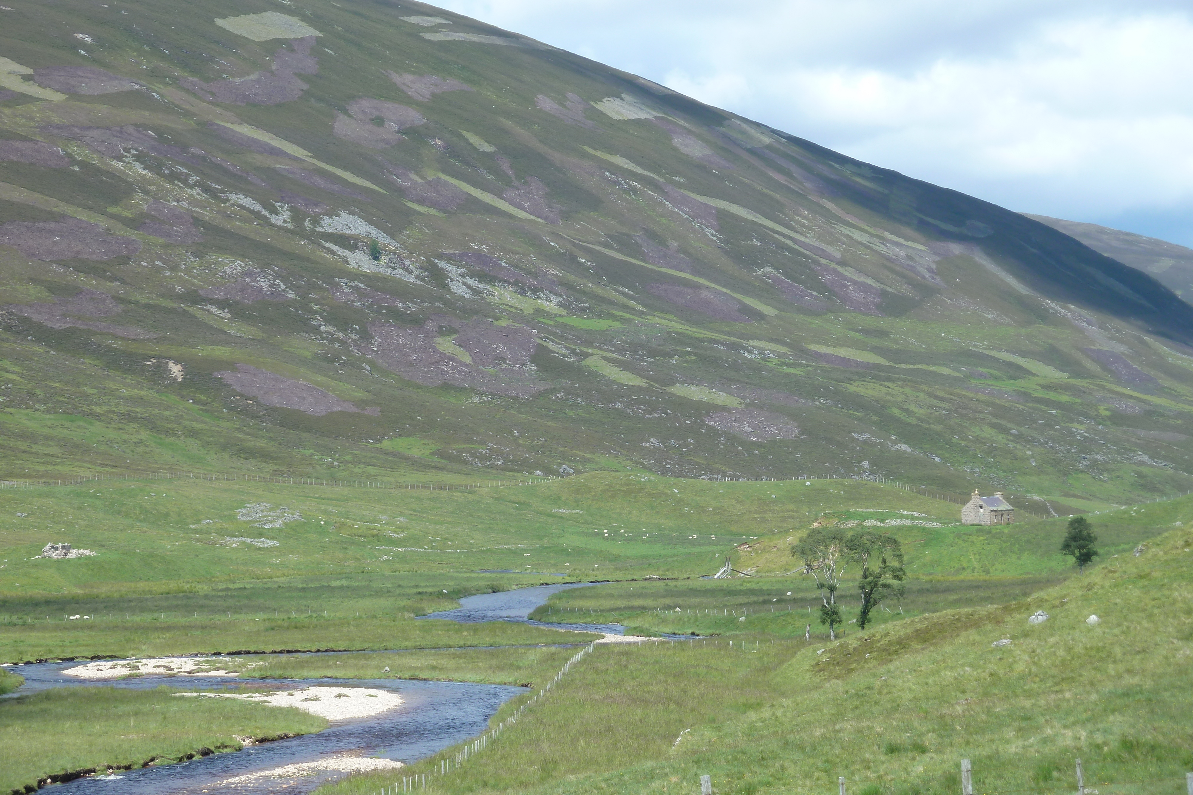 รูปถ่าย อังกฤษ(United Kingdom) อุทยานแห่งชาติแคร์นกอร์มส์(Cairngorms National Park) 2011-07 78