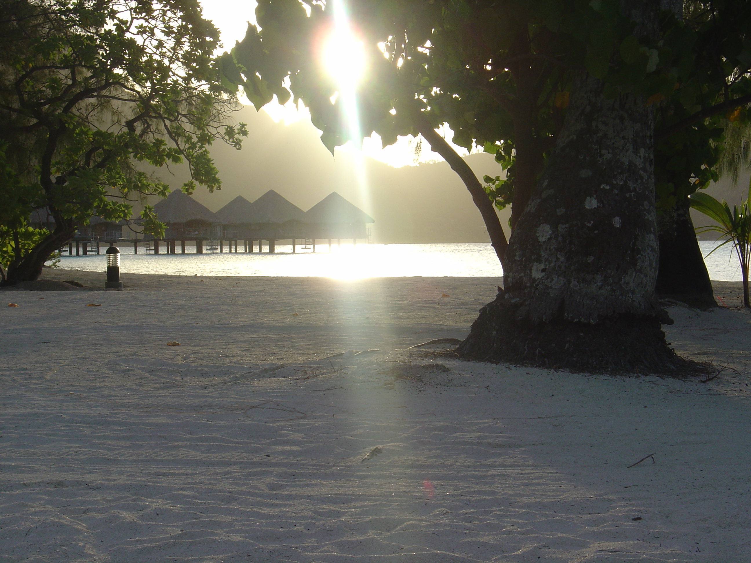 รูปถ่าย เฟรนช์โพลี่นีเซีย(Polynesia) โรงแรมเลอเมอริเดียน โบราโบรา(Meridien Bora Bora Hotel) 2006-04 232