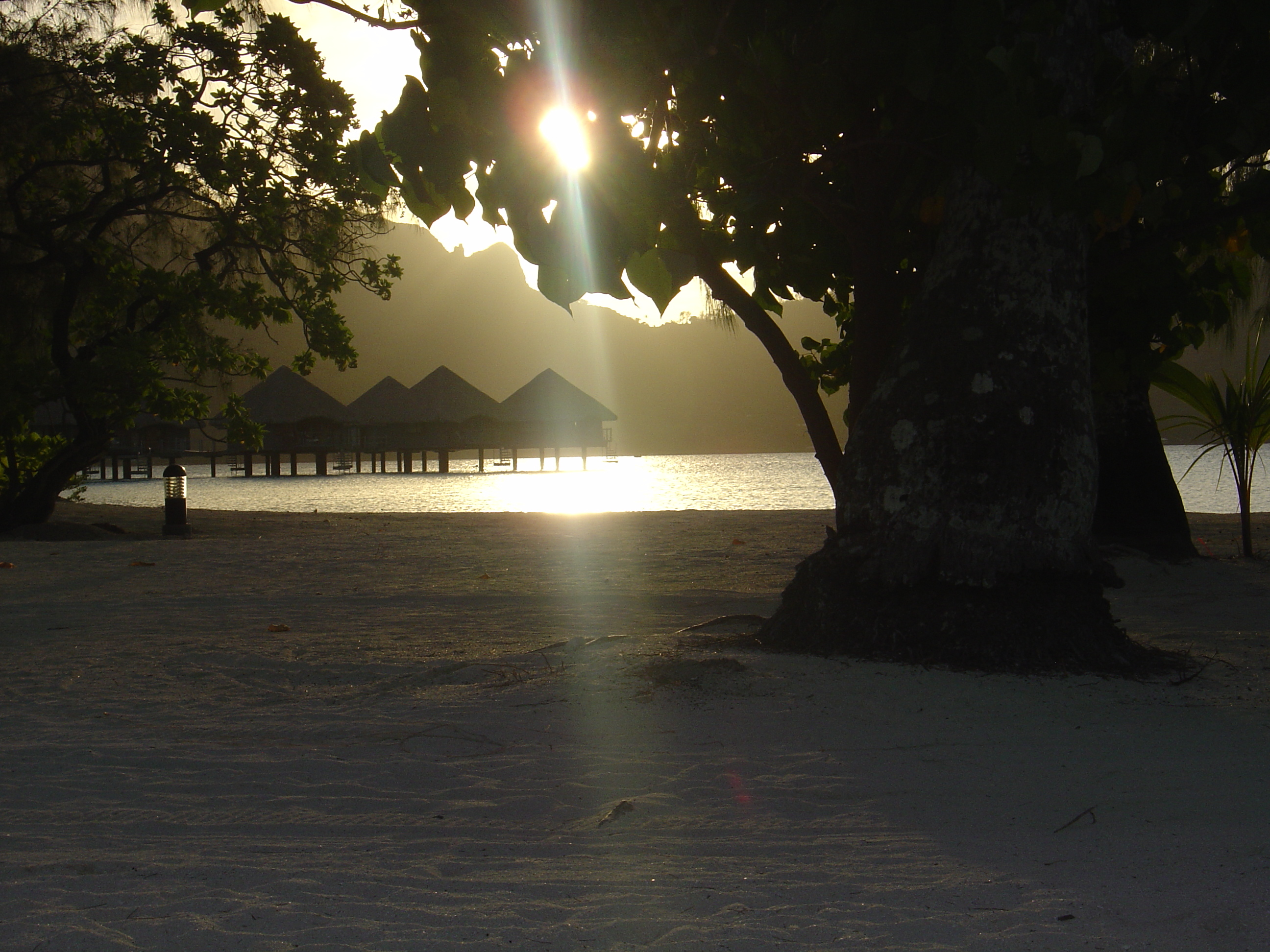 รูปถ่าย เฟรนช์โพลี่นีเซีย(Polynesia) โรงแรมเลอเมอริเดียน โบราโบรา(Meridien Bora Bora Hotel) 2006-04 229