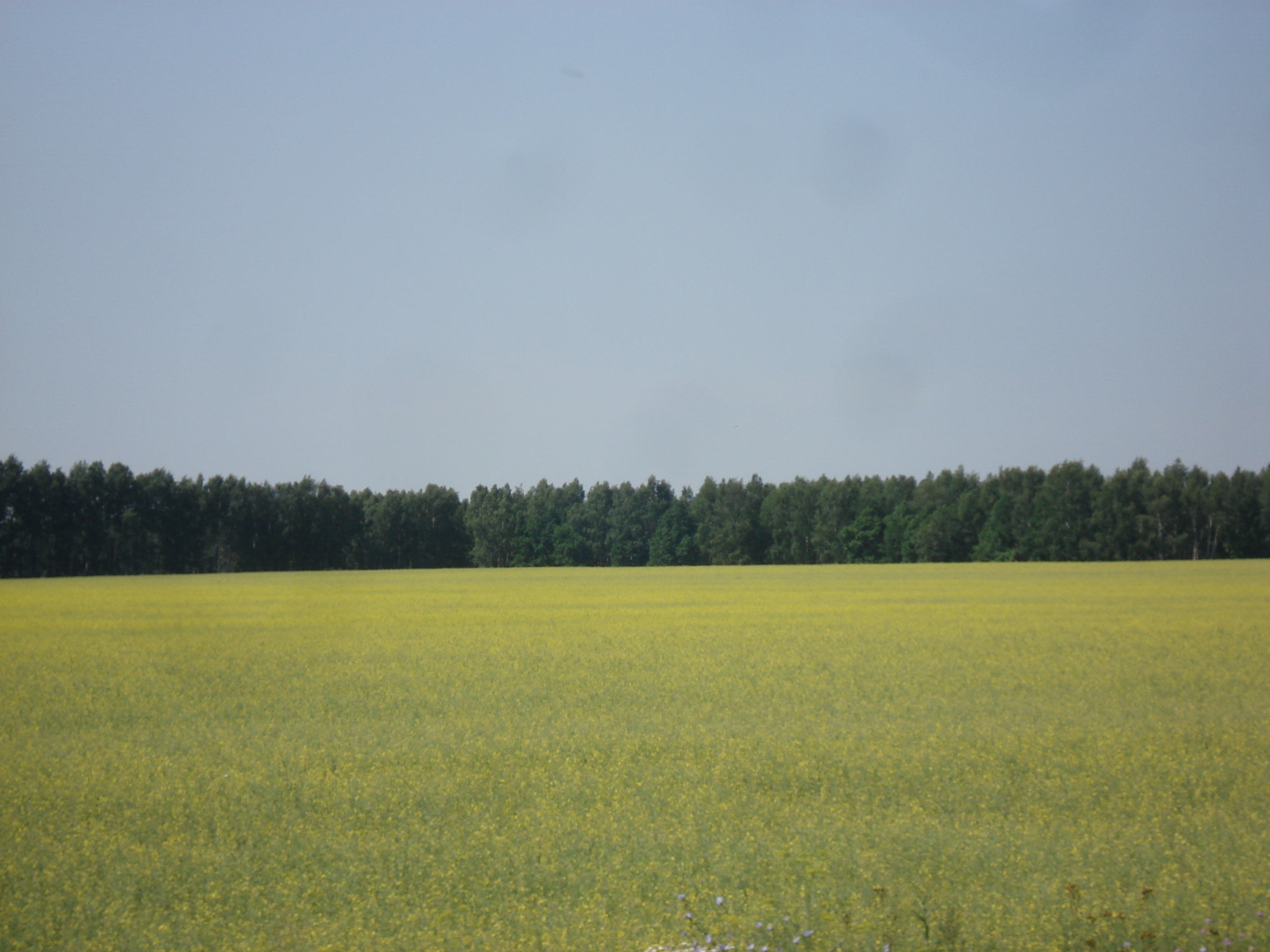 รูปถ่าย รัสเซีย(Russia) จากอูฟาไปคาซาน(From Ufa to Kazan) 2006-07 63
