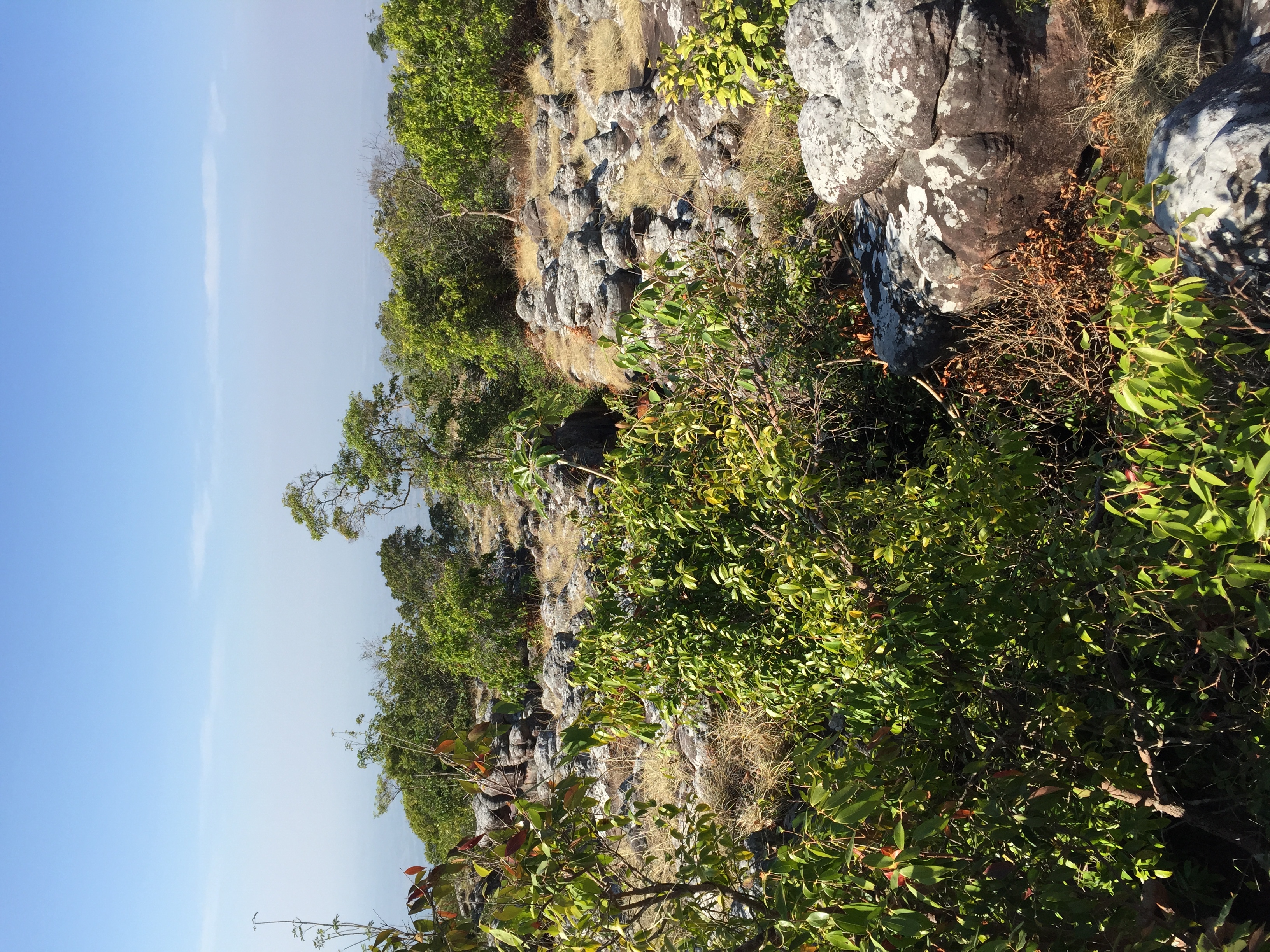 รูปถ่าย ไทย(Thailand) อุทยานแห่งชาติภูหินร่องกล้า(Phu Hin Rong Kla National Park) 2014-12 210