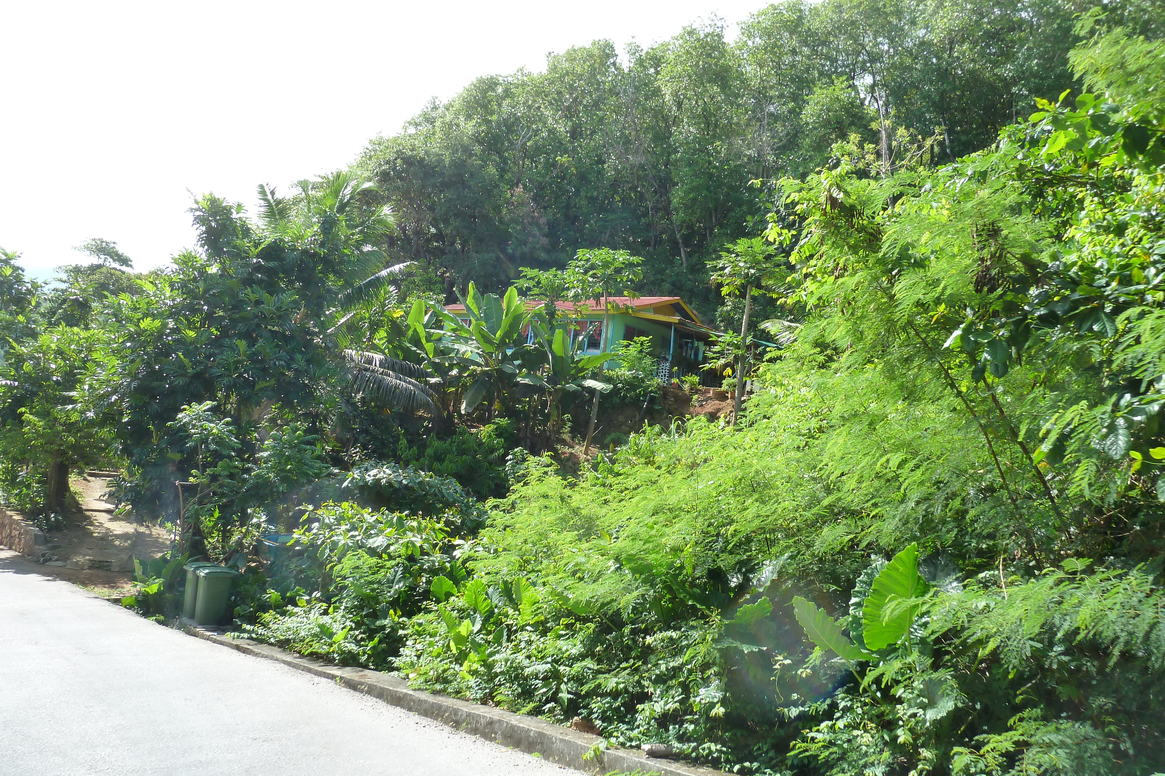 รูปถ่าย เซเชลส์(Seychelles) เกาะปราลิน(Praslin) 2011-10 97