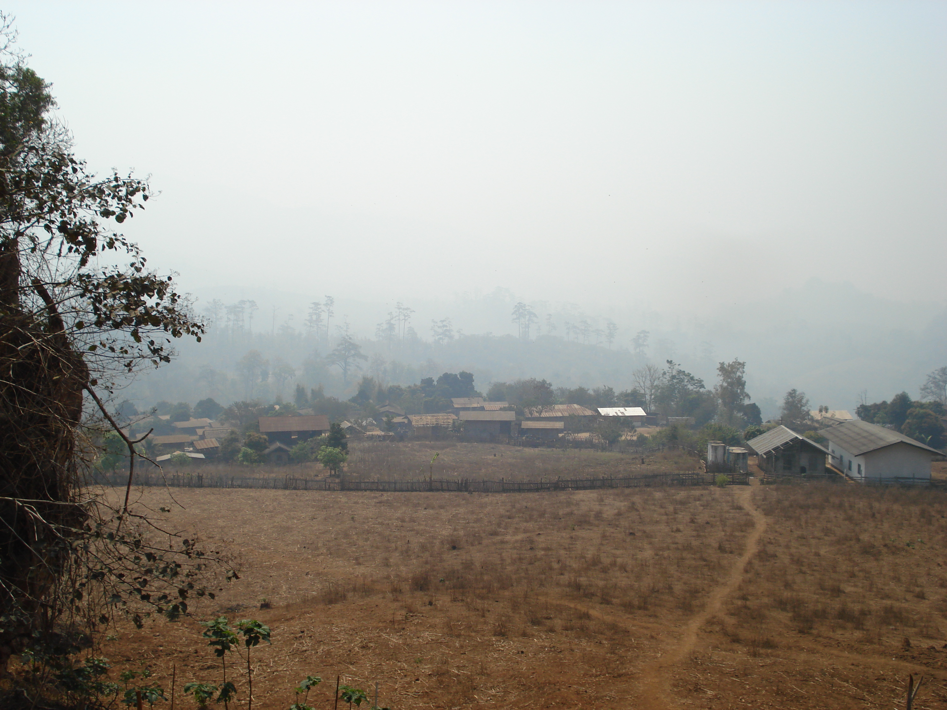 รูปถ่าย ไทย(Thailand) ปางมะผ้า(Pang Mapha) 2007-02 93