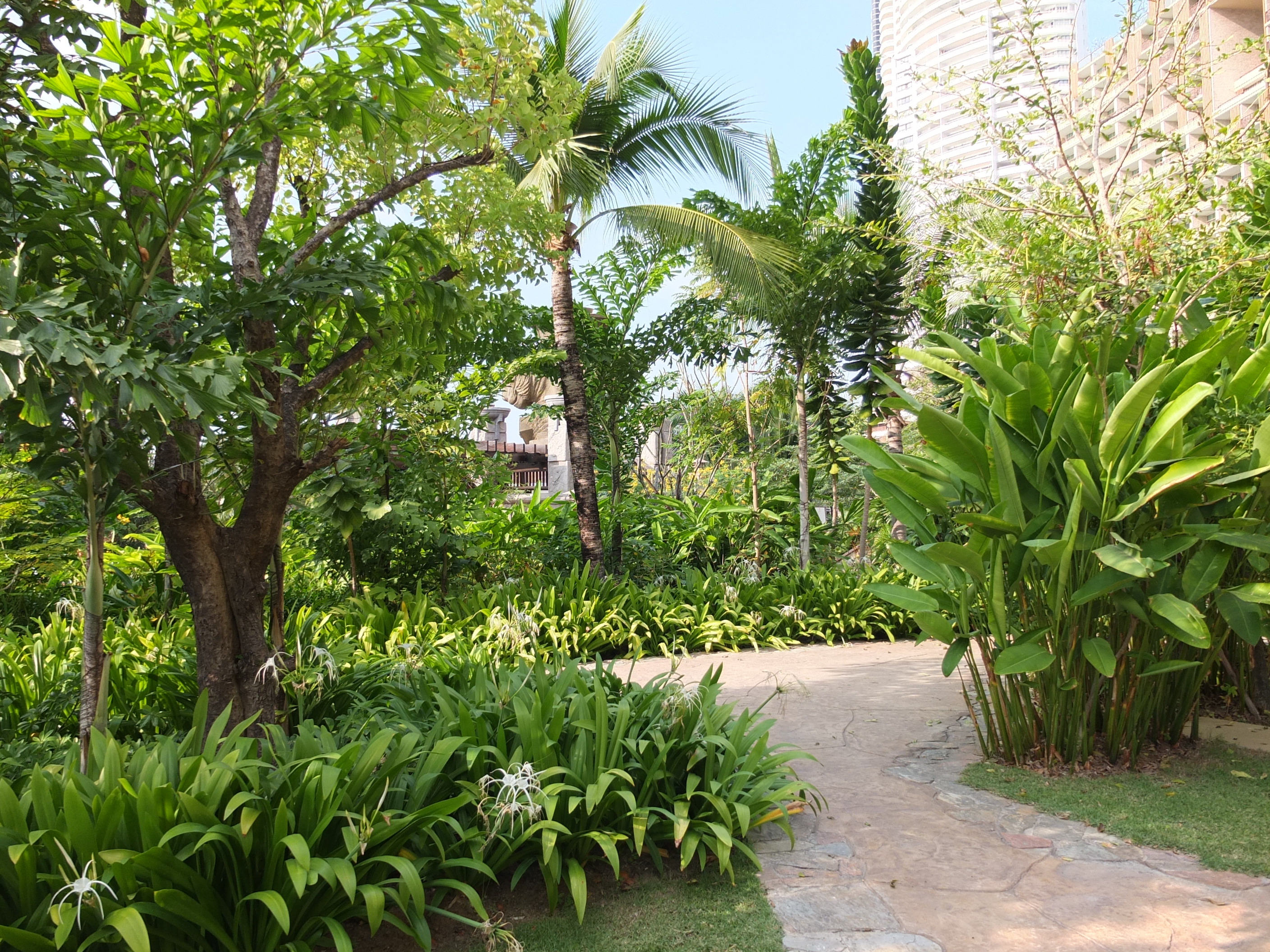 รูปถ่าย ไทย(Thailand) พัทยา(Pattaya) โรงแรมเซ็นทารา(Centara Hotel) 2011-12 57