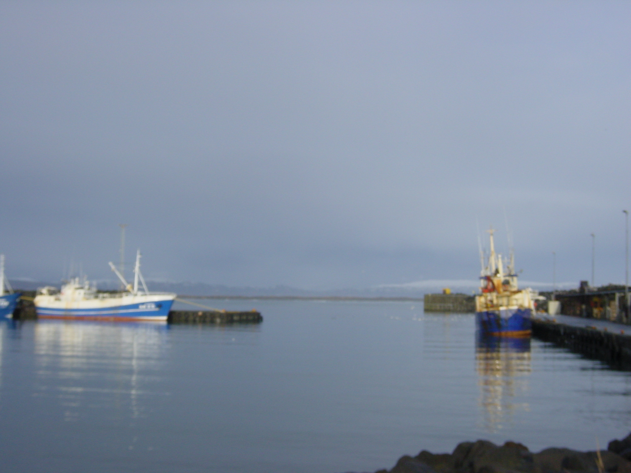 รูปถ่าย ไอซ์แลนด์(Iceland) แอราร์ิบาคคิ(Eyrarbakki) 2003-03 9