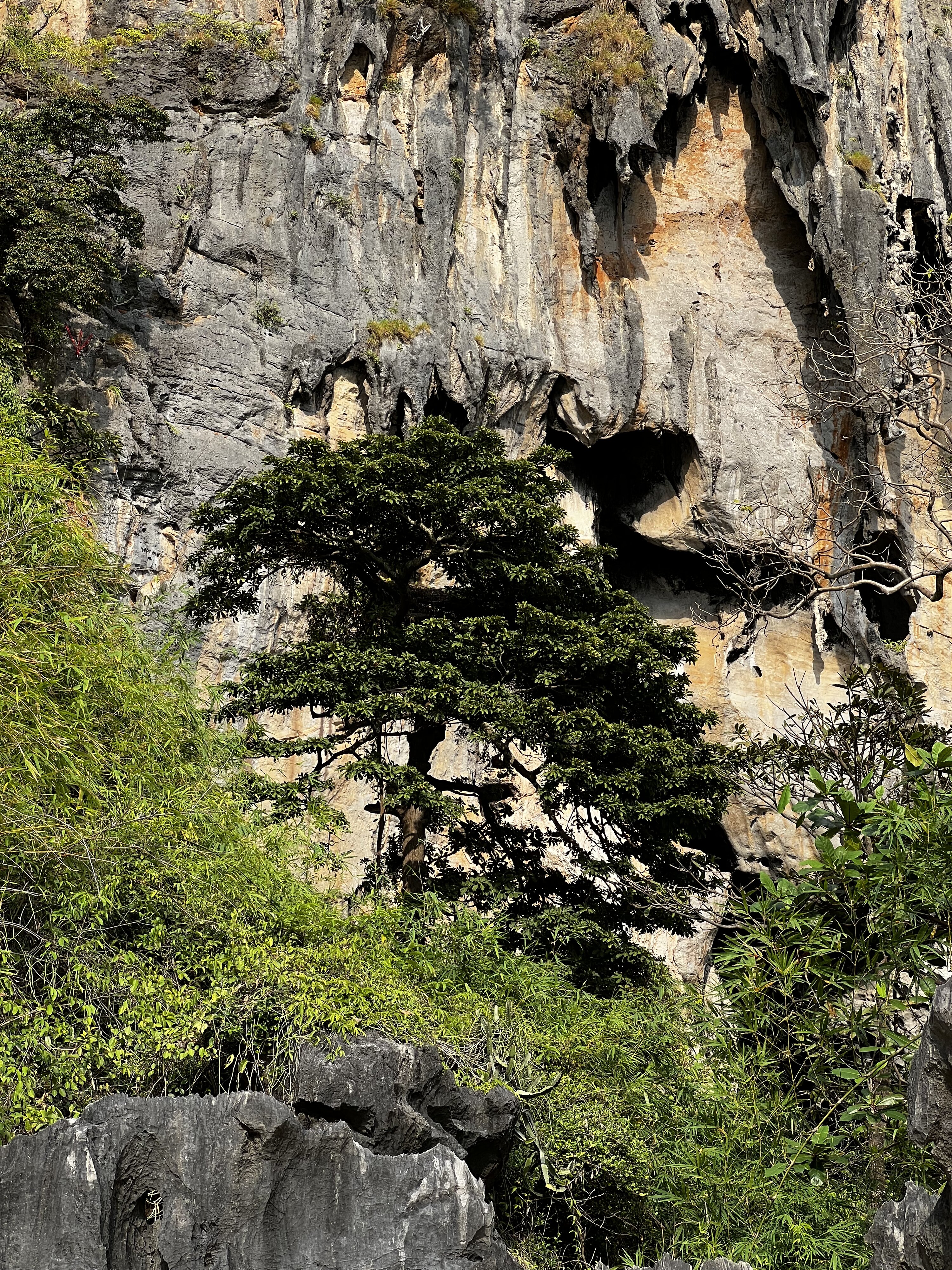 รูปถ่าย ไทย(Thailand) กระบี่(Krabi) 2023-01 171