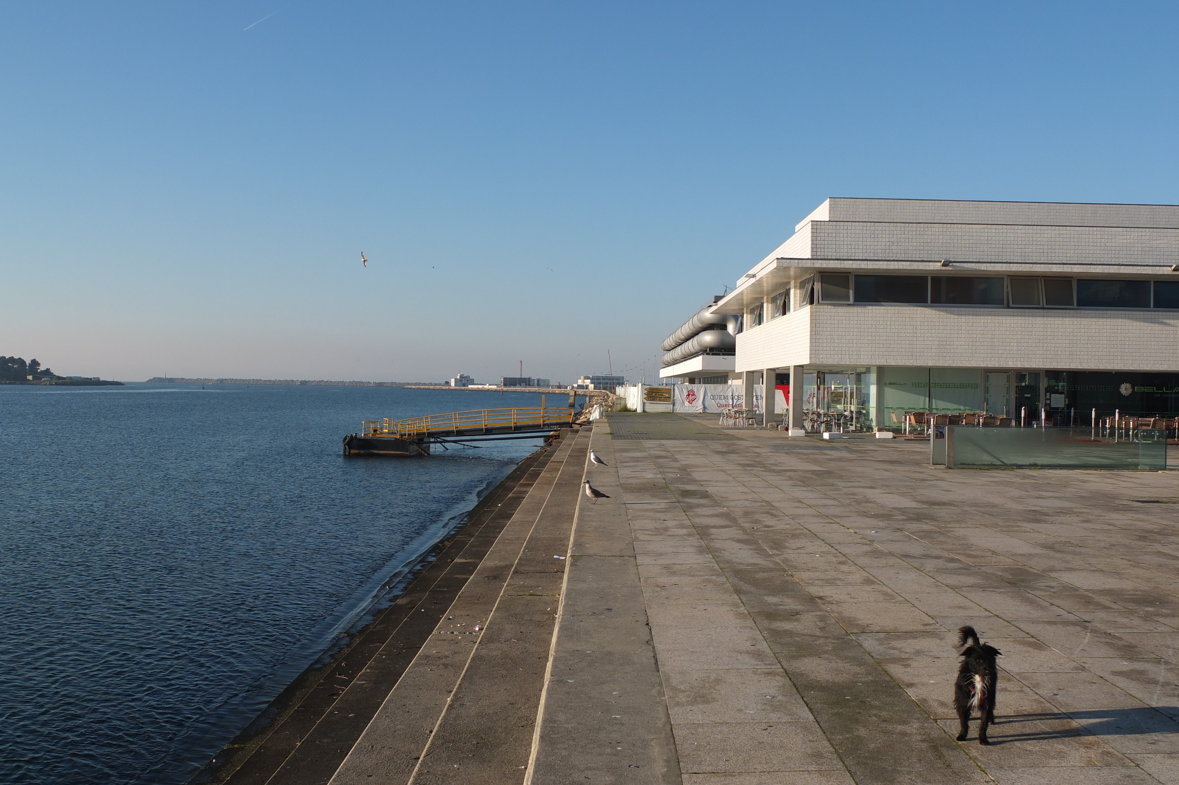 รูปถ่าย โปรตุเกส(Portugal) วีอานาดูกัชเตลู(Viana do Castelo) 2013-01 93