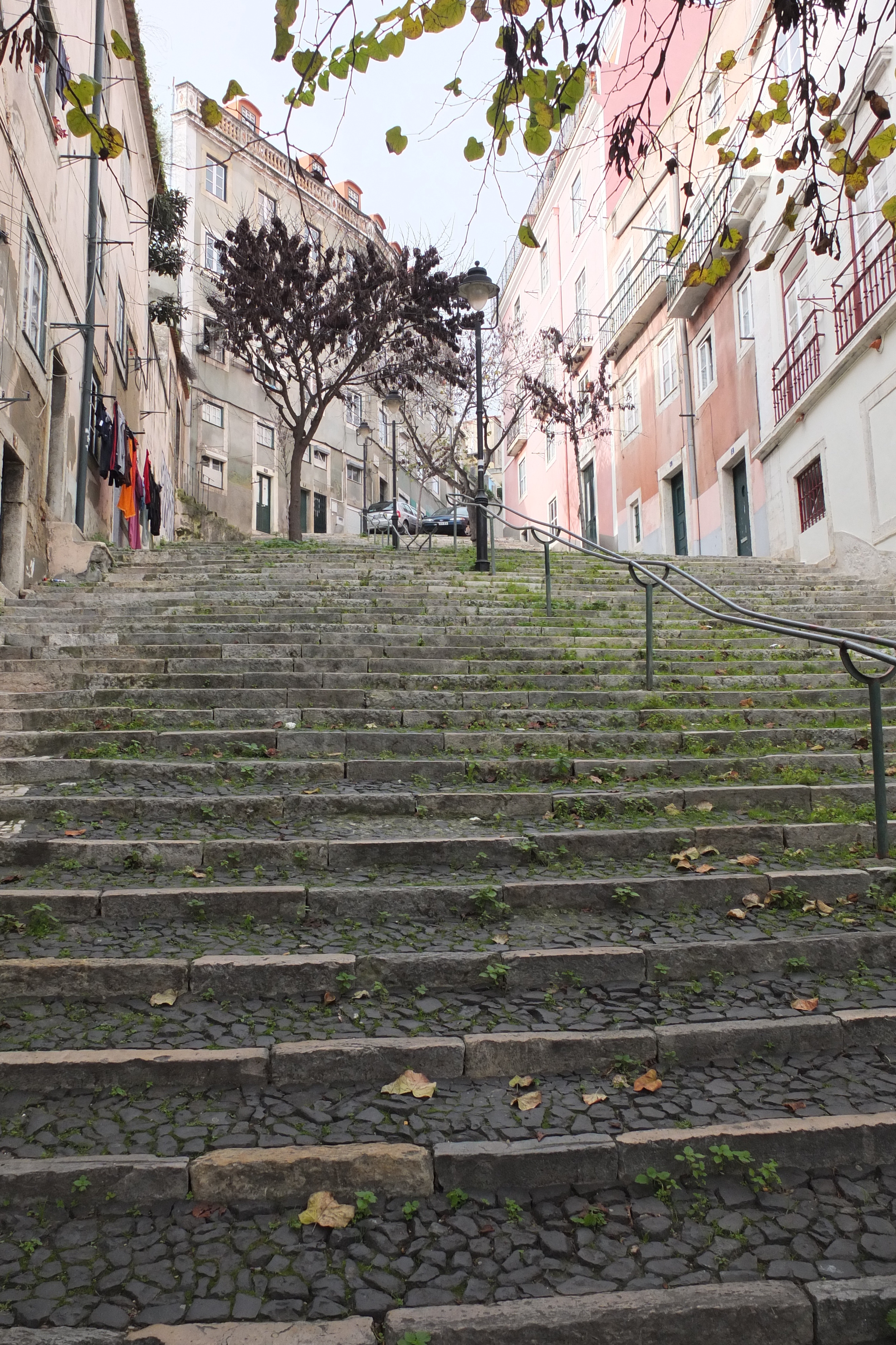 รูปถ่าย โปรตุเกส(Portugal) ลิสบอน(Lisbon) 2013-01 160