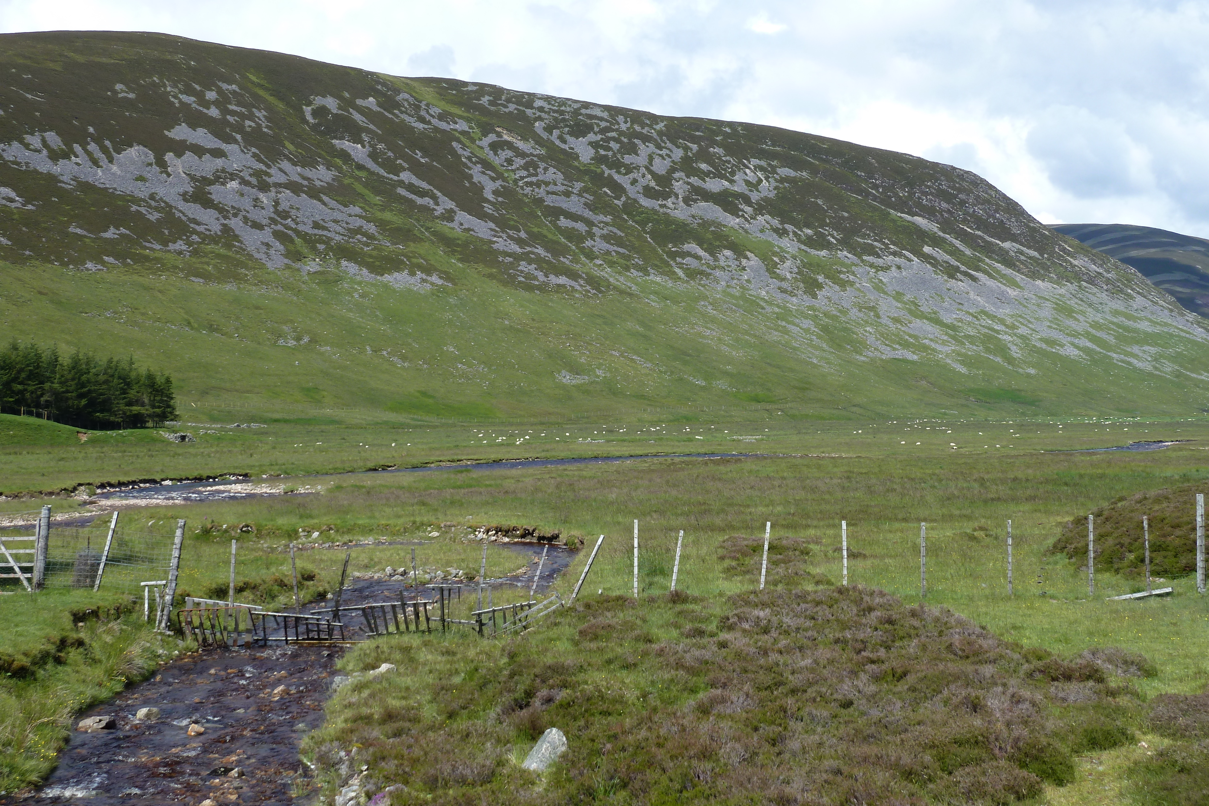 รูปถ่าย อังกฤษ(United Kingdom) อุทยานแห่งชาติแคร์นกอร์มส์(Cairngorms National Park) 2011-07 70