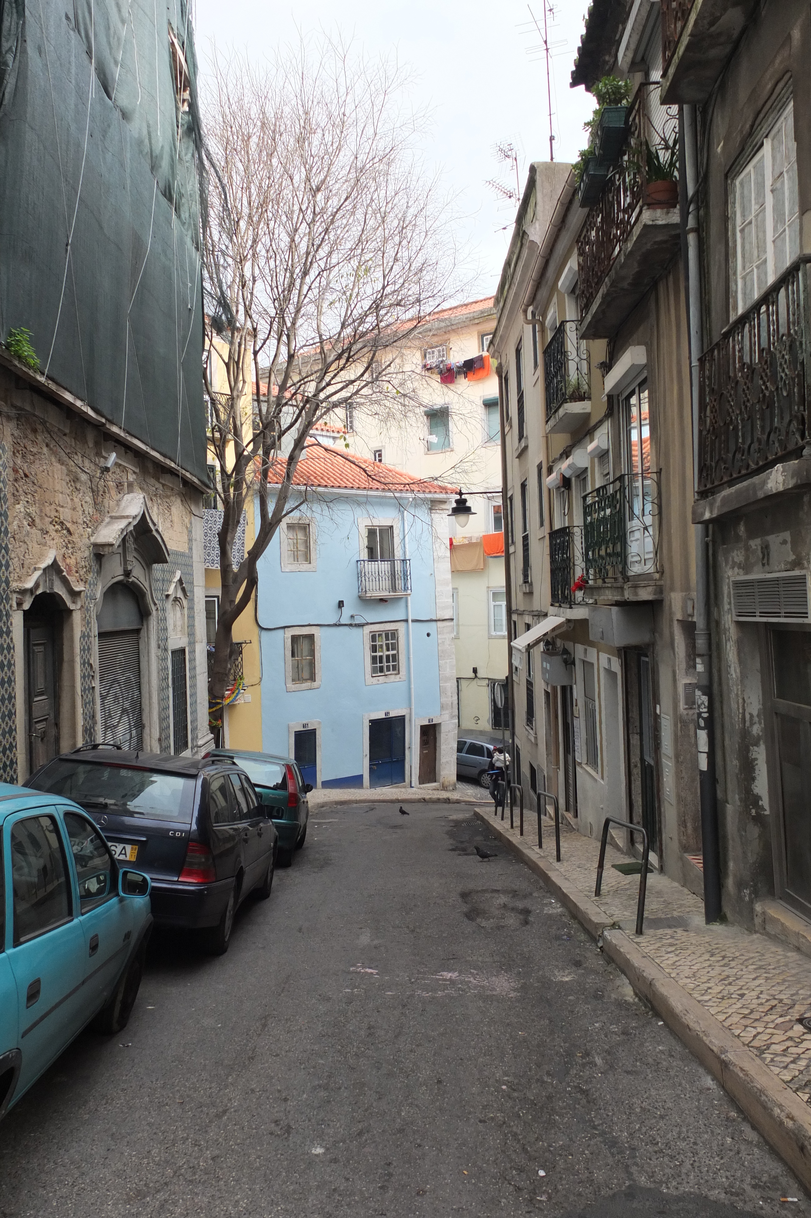 รูปถ่าย โปรตุเกส(Portugal) ลิสบอน(Lisbon) 2013-01 137