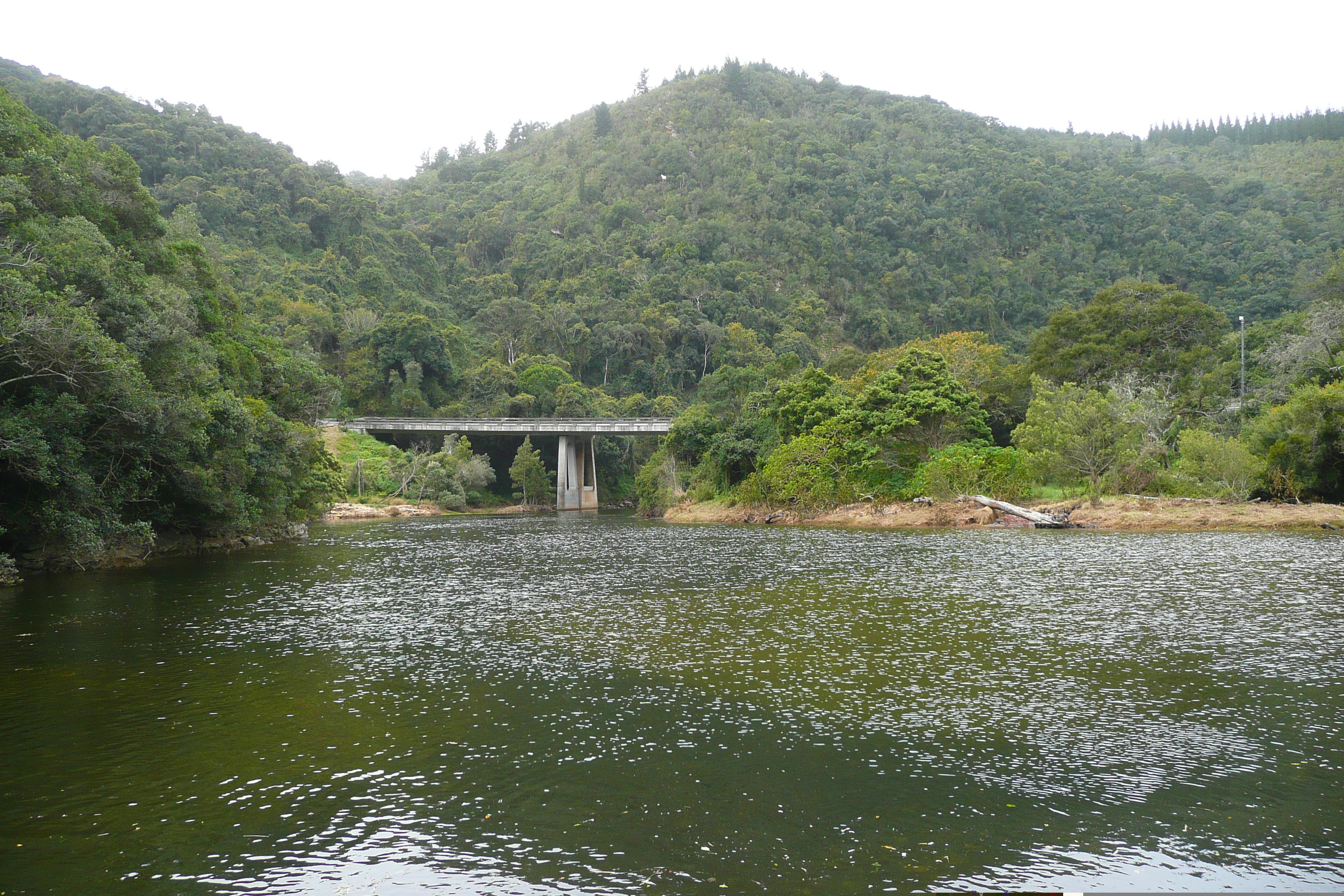 รูปถ่าย แอฟริกาใต้(South Africa) ถนนจากเฮอร์มานัสไปไนส์นา(Harmanus to Knysna road) 2008-09 123