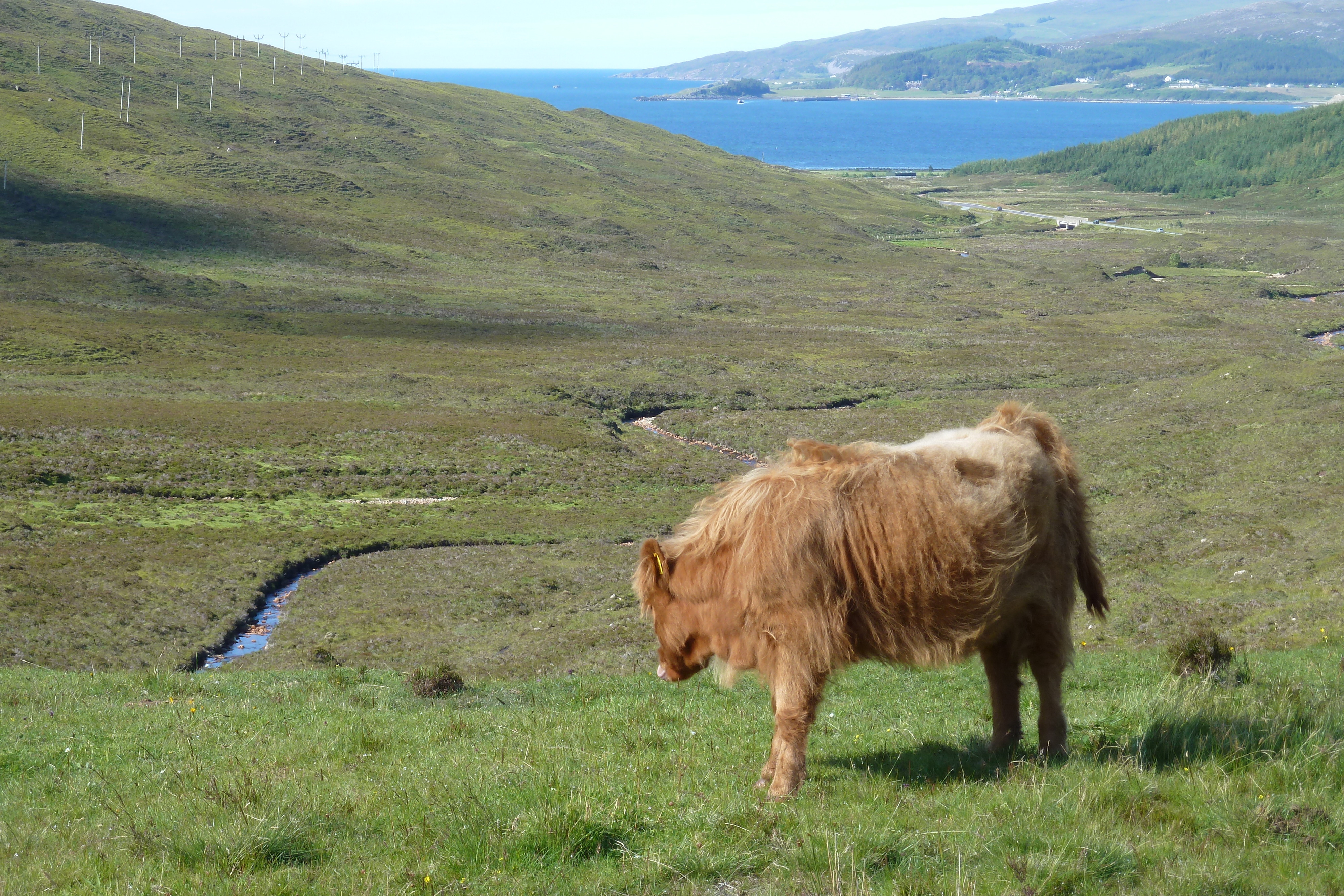 รูปถ่าย อังกฤษ(United Kingdom) เกาะสกาย(Skye) เทือกเขาคูลิน(The Cuillin) 2011-07 79